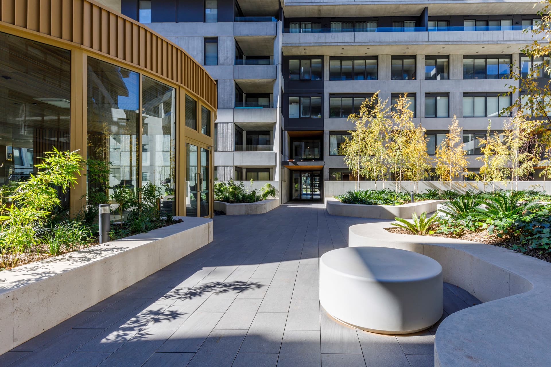 4/217 Northbourne Avenue, Turner ACT 2612, Turner - Thumbnail 5