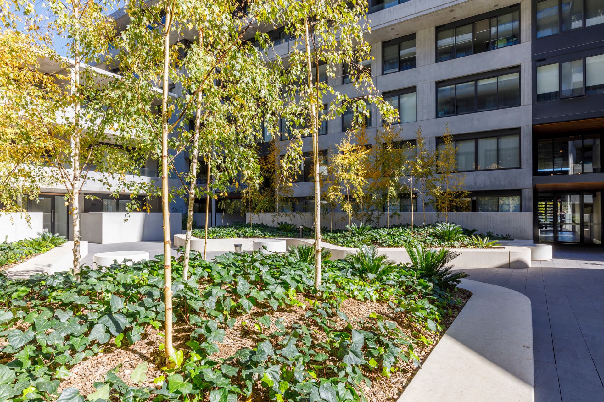 4/217 Northbourne Avenue, Turner ACT 2612, Turner - Thumbnail 7