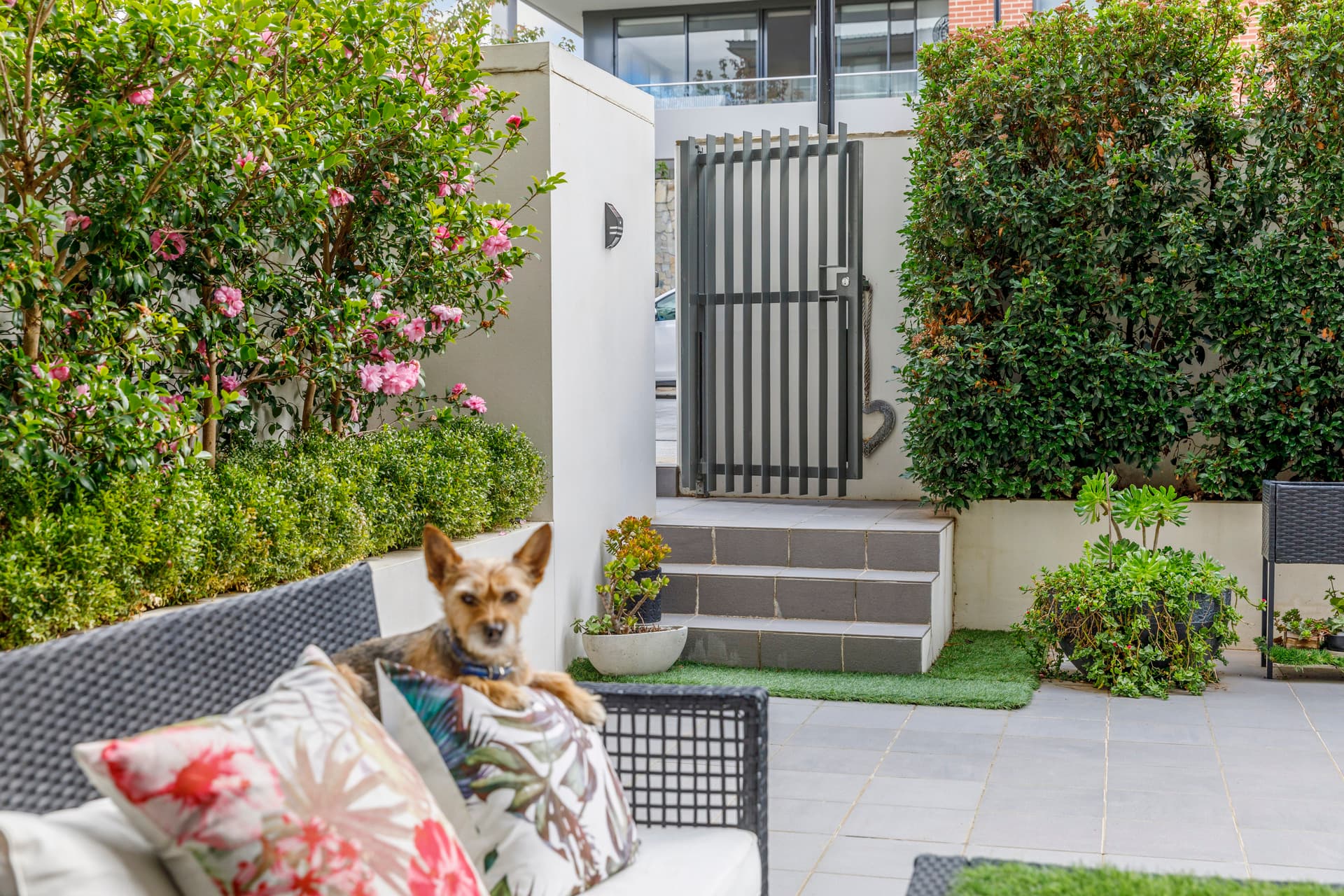 8/21 Dawes Street, Kingston ACT 2604, Kingston - Thumbnail 4