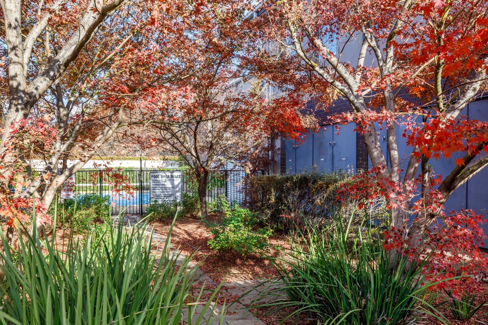 25/50 Lumeah Street, Narrabundah ACT 2604, Narrabundah - Thumbnail 6