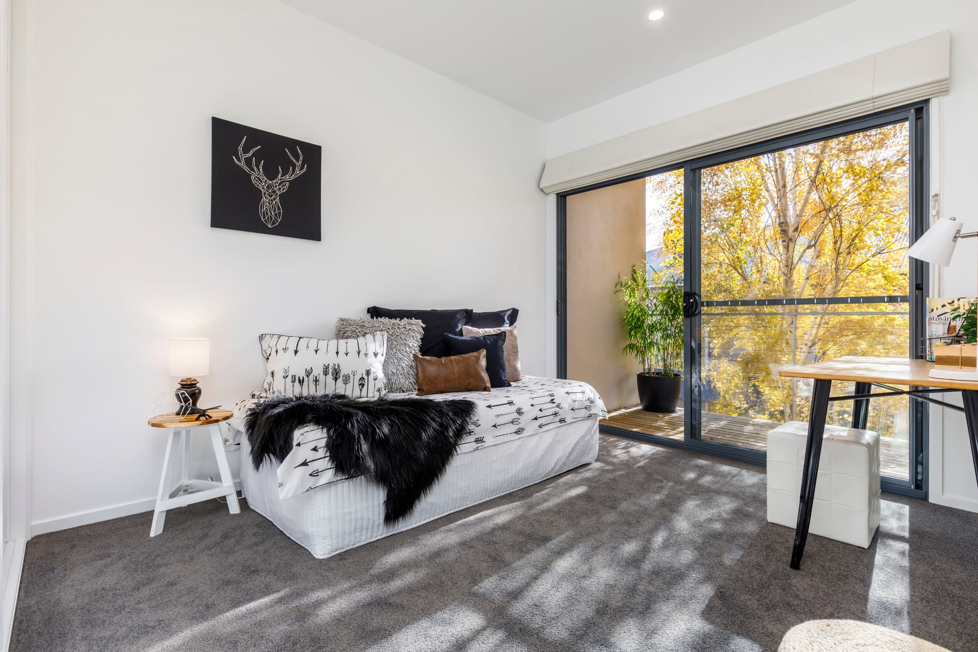 25/50 Lumeah Street, Narrabundah ACT 2604, Narrabundah - Thumbnail 4