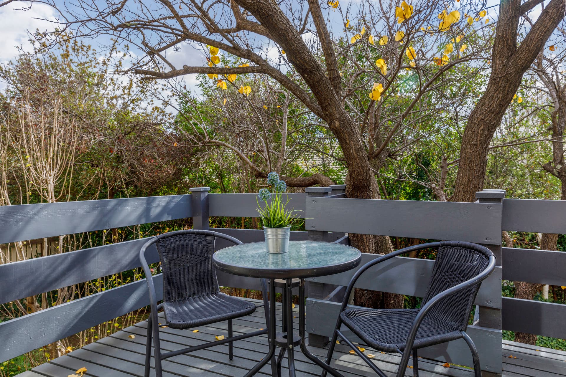 99 Jervois Street, Deakin ACT 2600, Deakin - Thumbnail 7