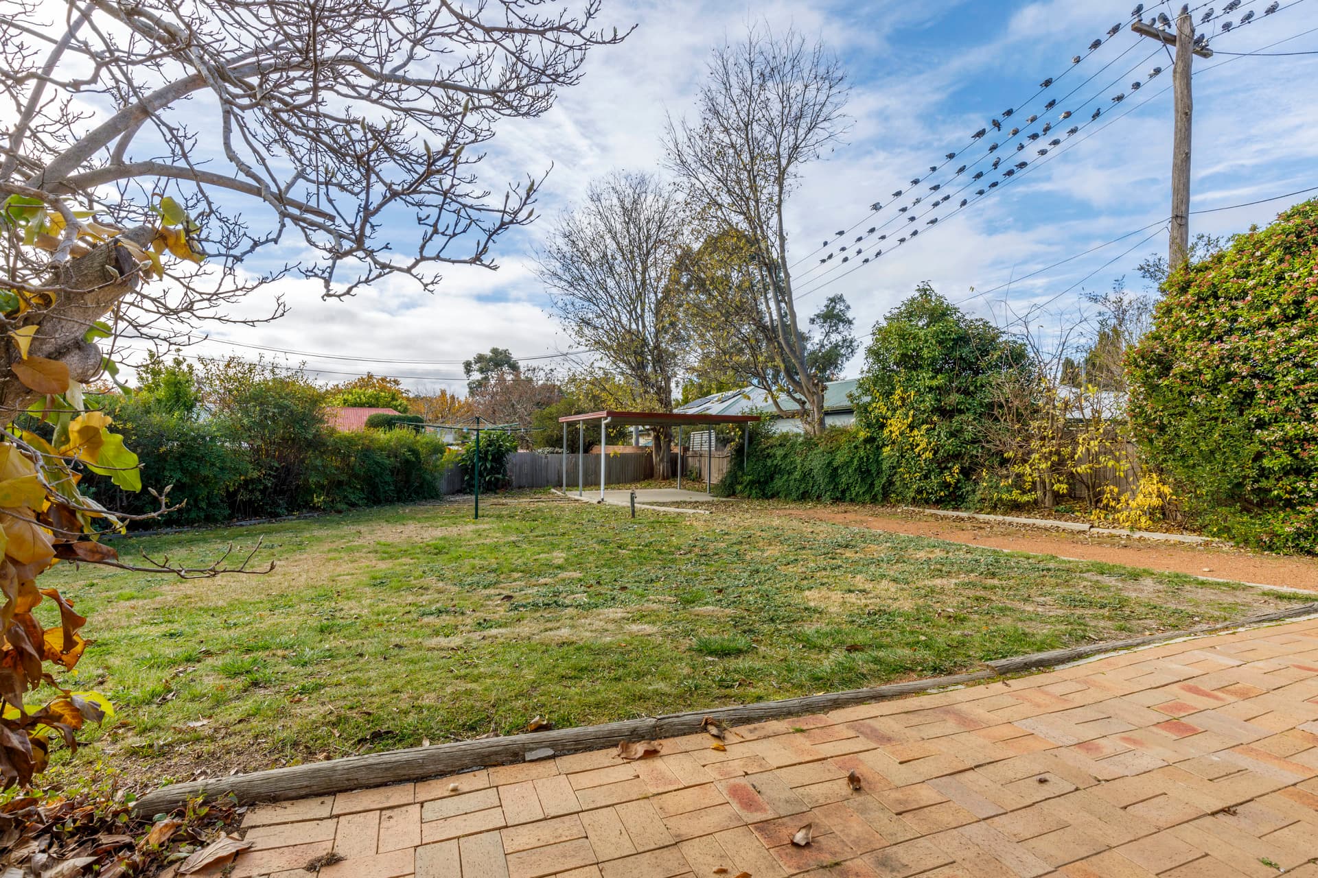 403 - Forbidden, Ainslie - Image 1