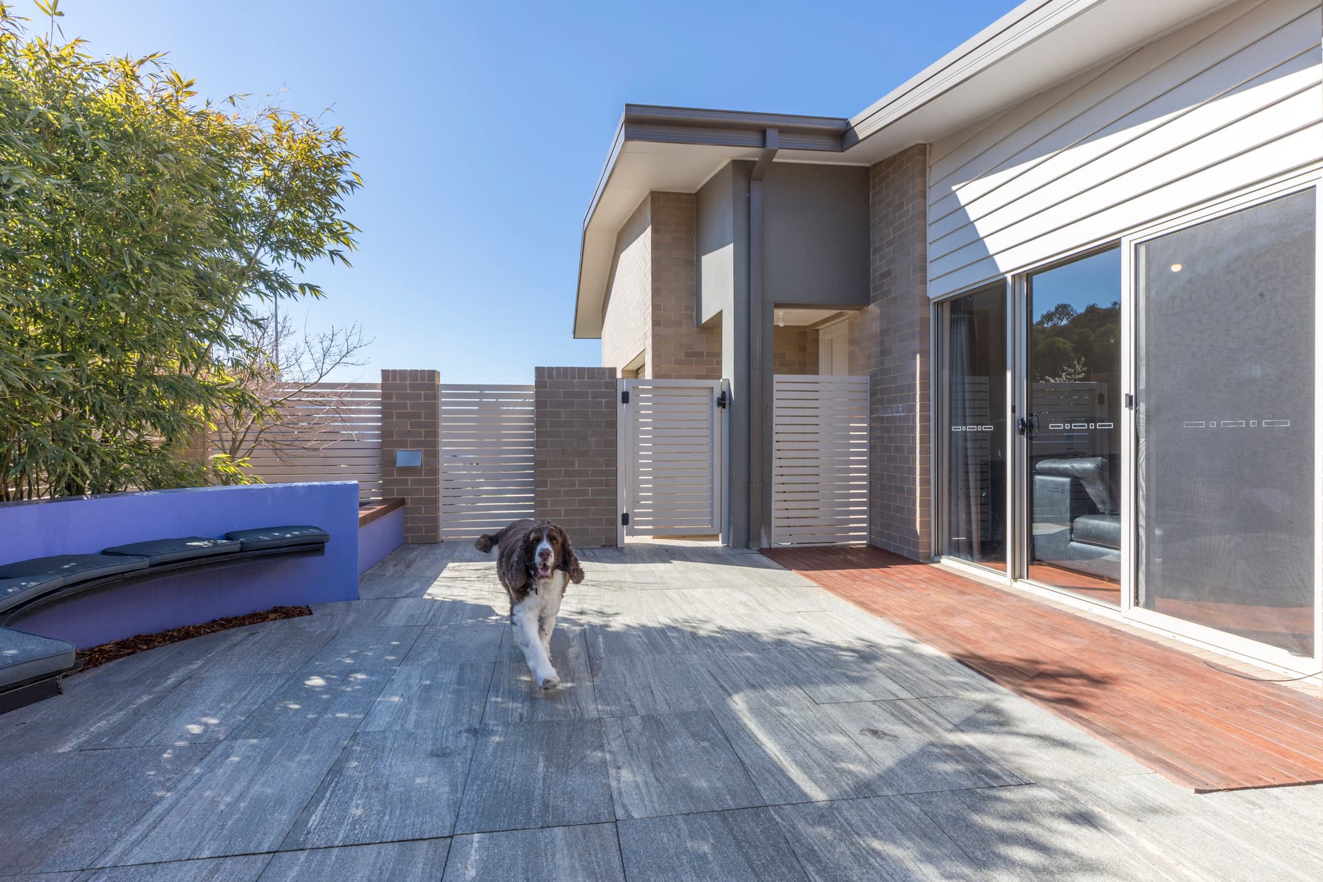 51 Carmody Street, Casey ACT 2913, Casey - Thumbnail 7