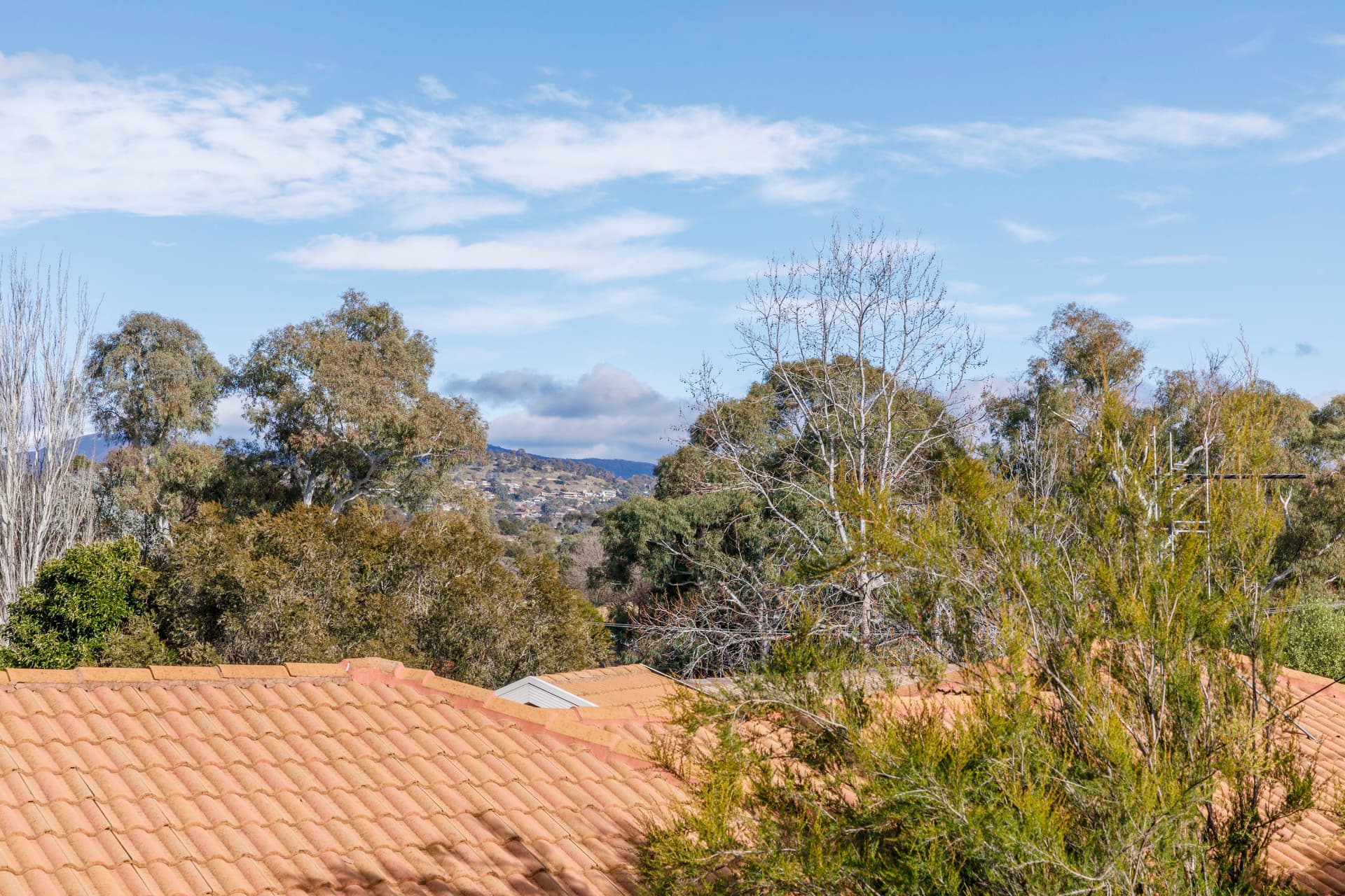 31 Folingsby Street, Weston ACT 2611, Weston - Thumbnail 7