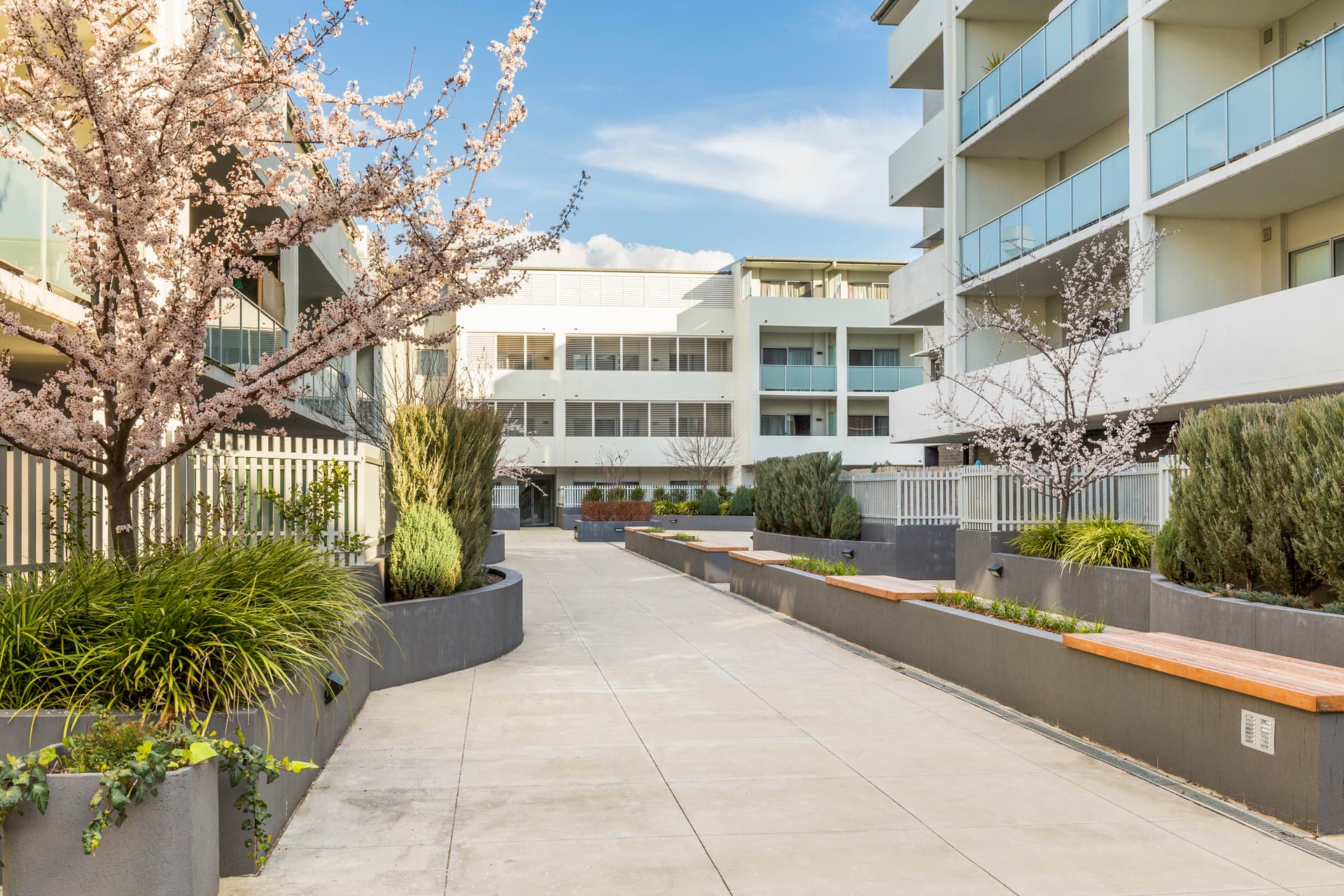 79/140 Anketell Street, Greenway ACT 2900, Greenway - Thumbnail 3