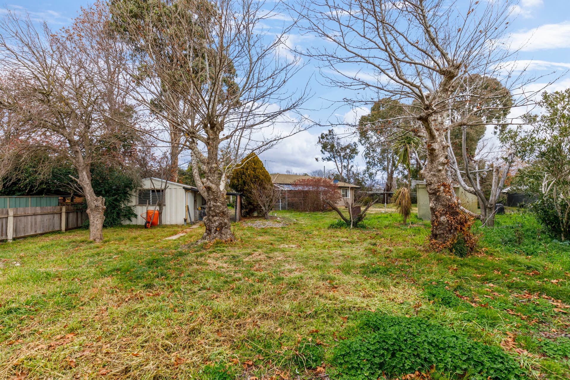 15 Giblin Street, Downer ACT 2602, Downer - Thumbnail 4