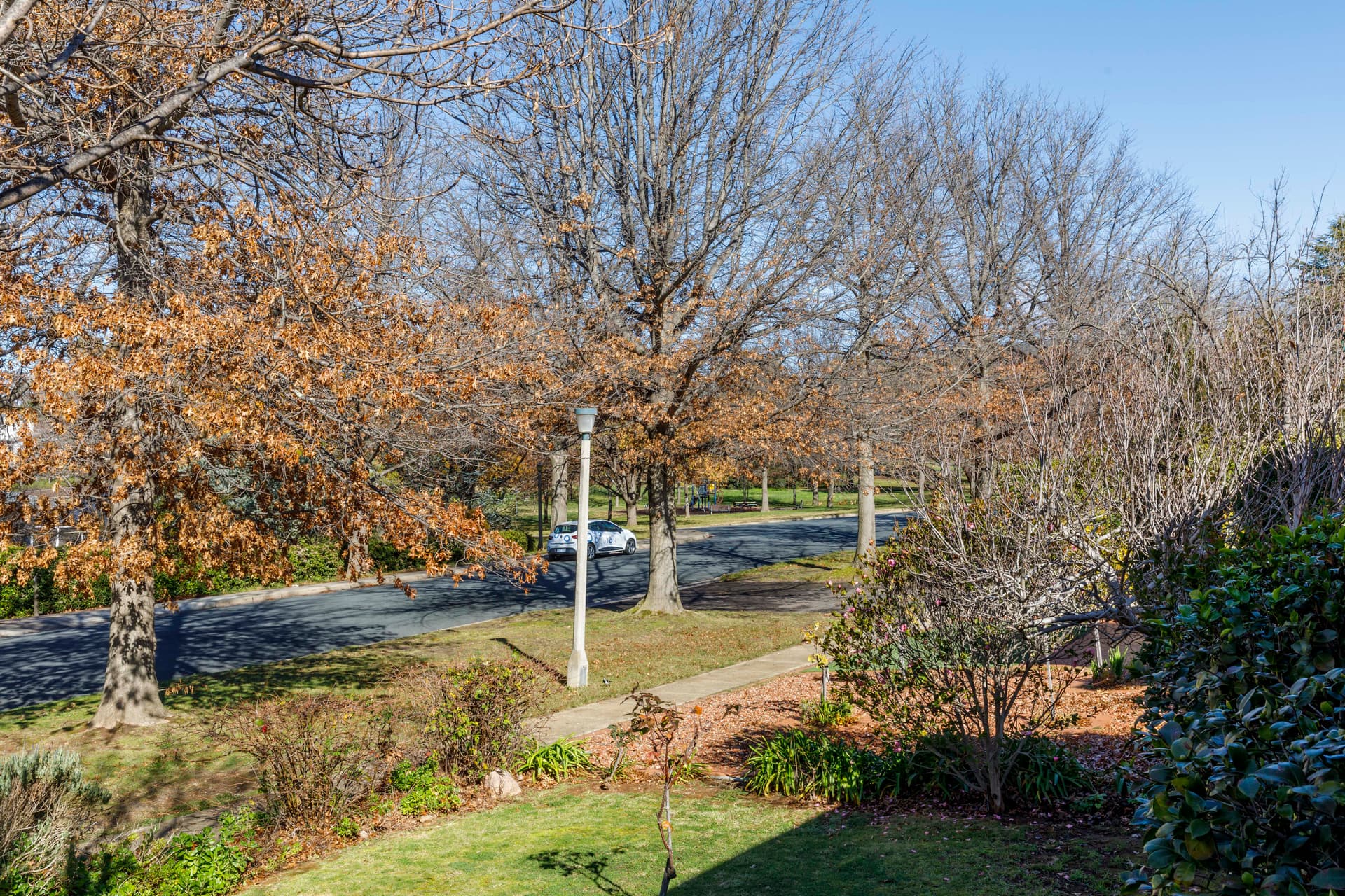 49 Sprent Street, Narrabundah ACT 2604, Narrabundah - Thumbnail 8