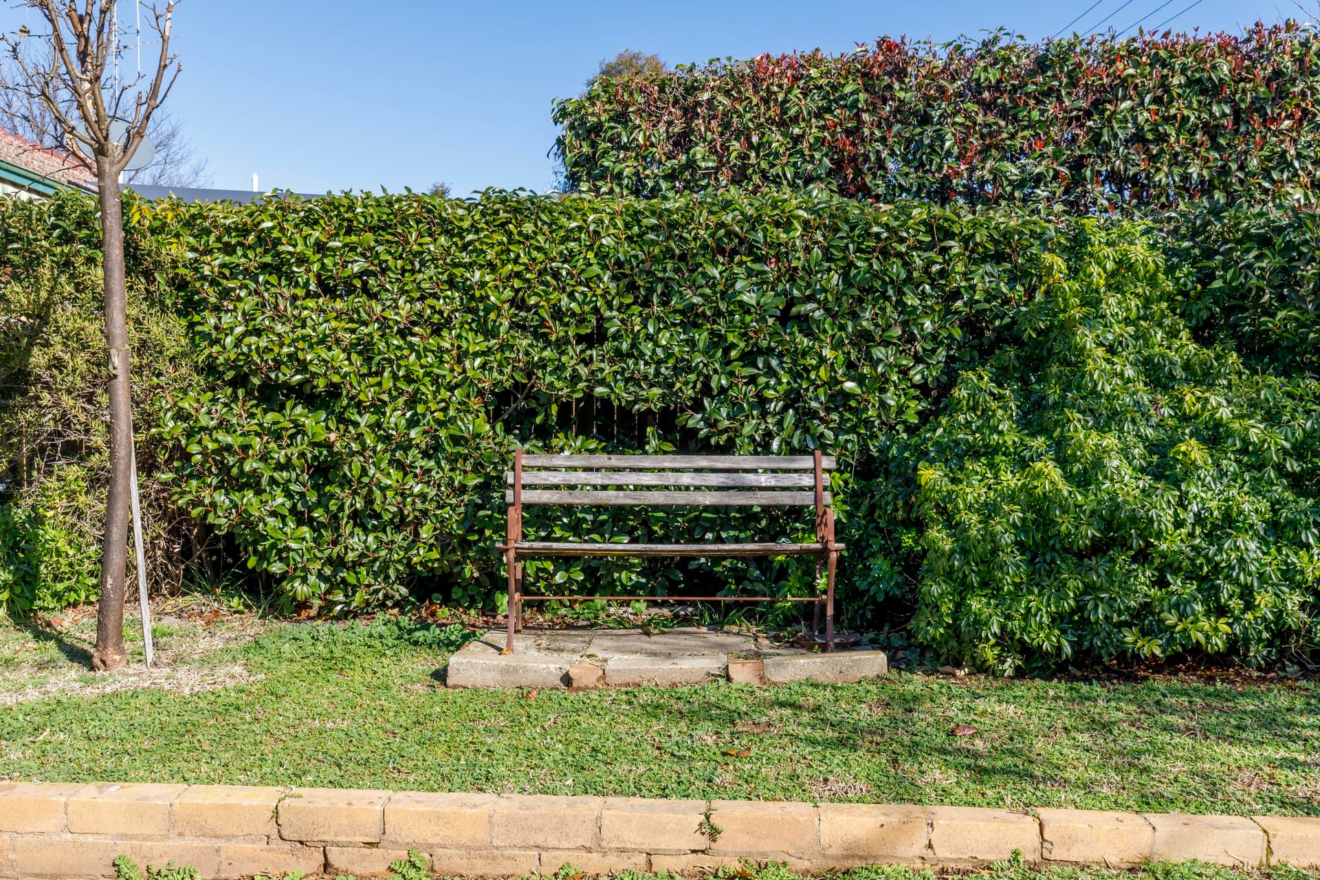 49 Sprent Street, Narrabundah ACT 2604, Narrabundah - Thumbnail 7