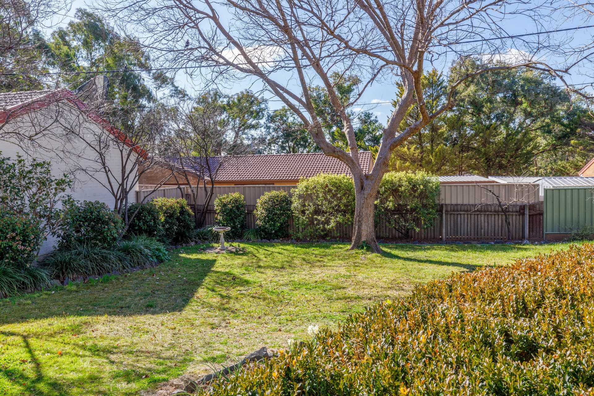 19 Blackman Crescent, Macquarie ACT 2614, Macquarie - Thumbnail 5