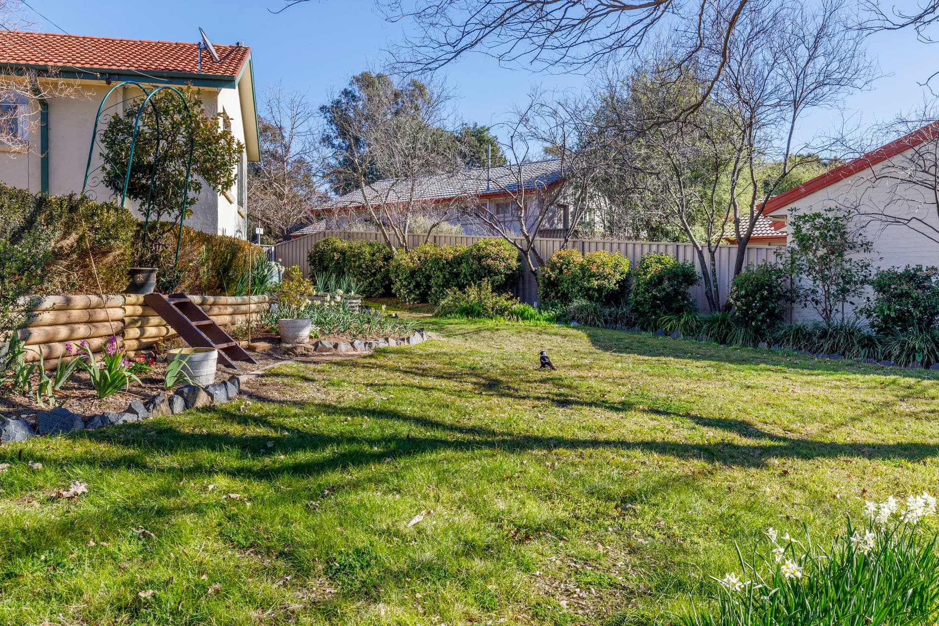 19 Blackman Crescent, Macquarie ACT 2614, Macquarie - Thumbnail 8