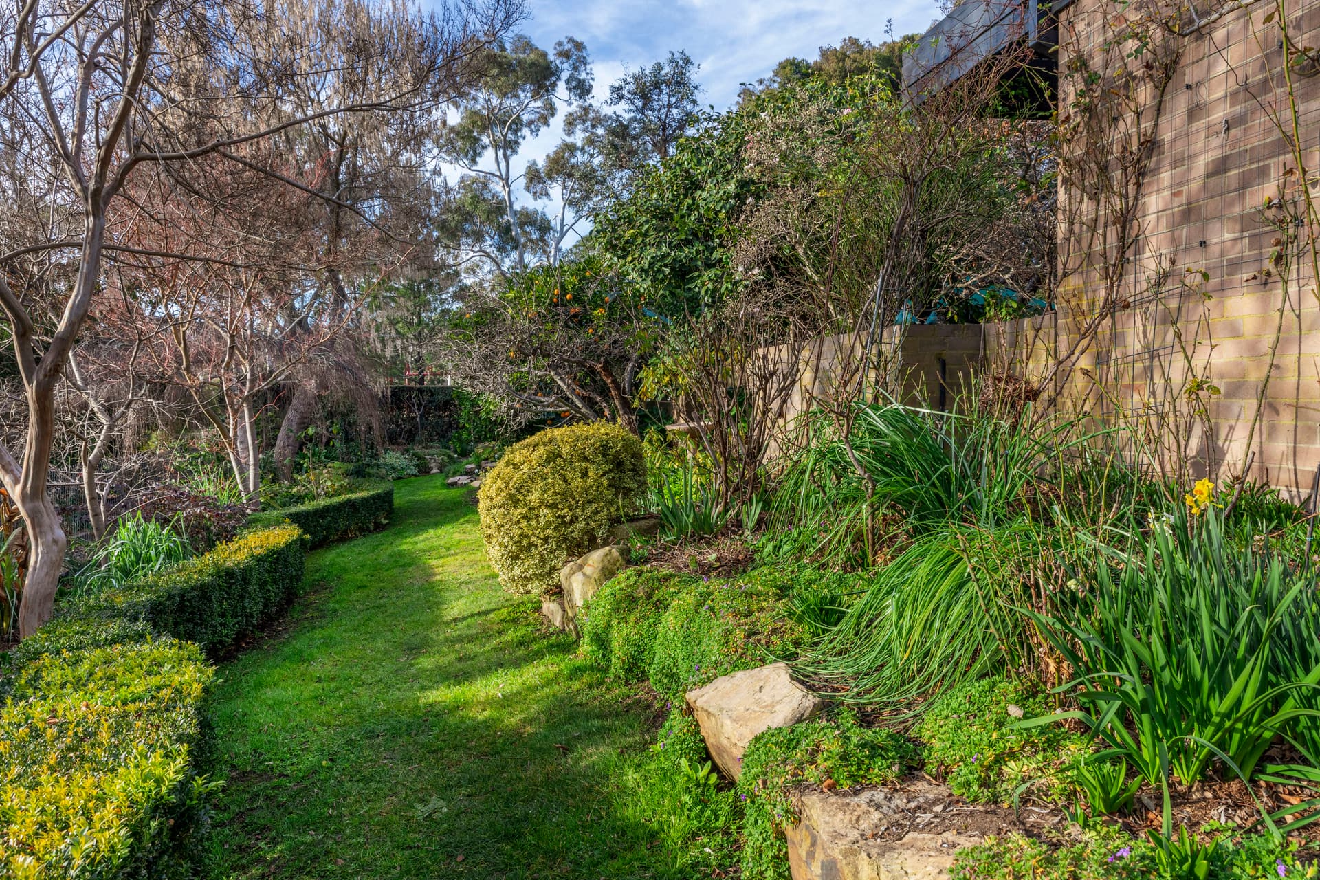 17 Woodgate Street, Farrer ACT 2607, Farrer - Thumbnail 8