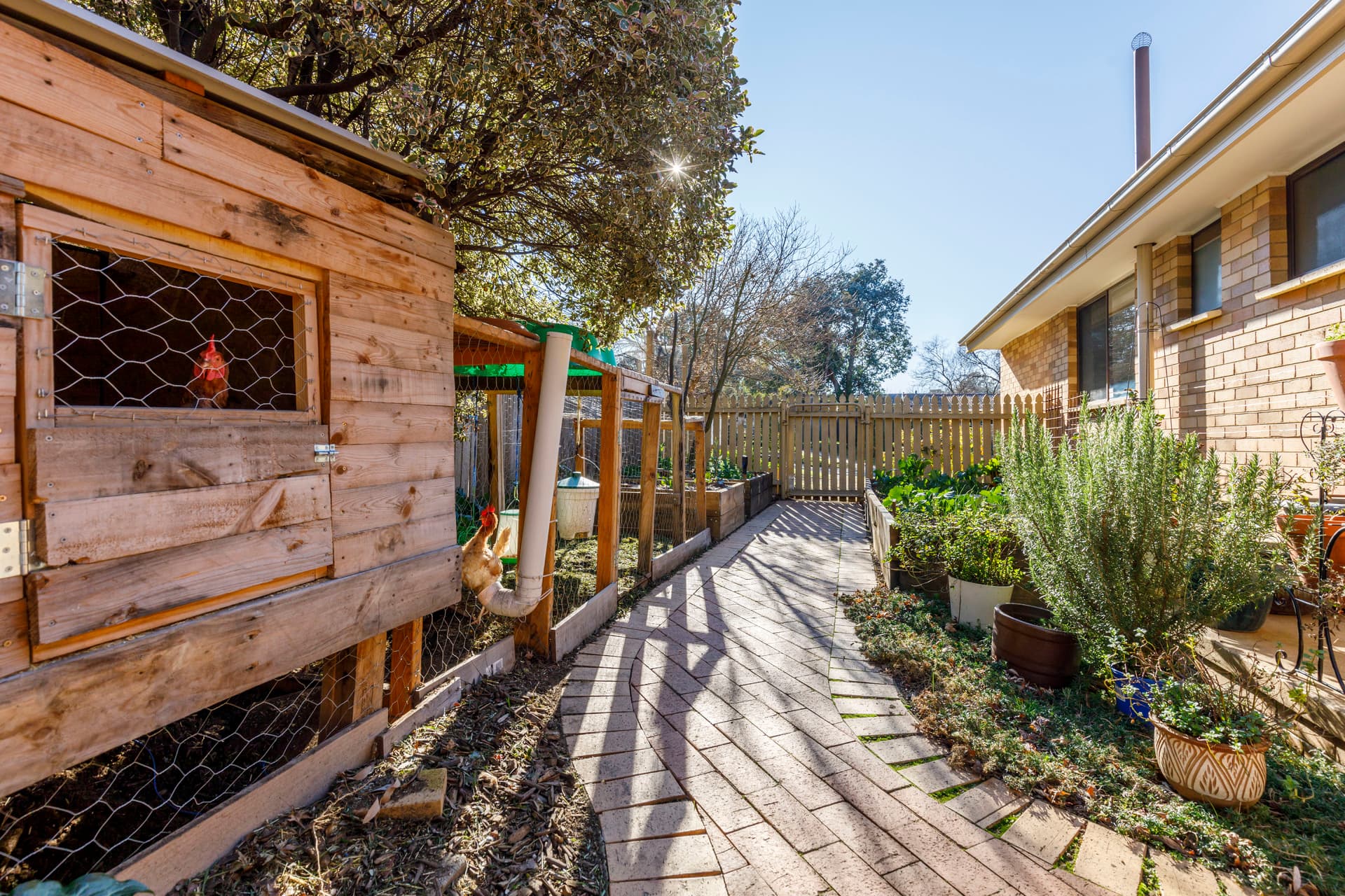 9 McDougall Street, Charnwood ACT 2615, Charnwood - Thumbnail 7
