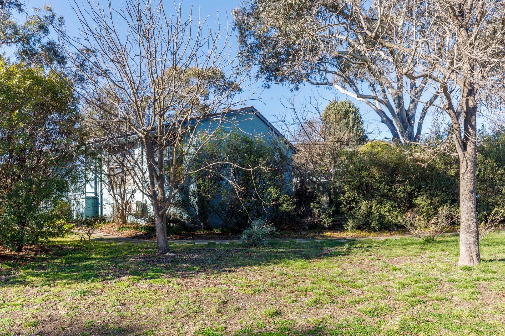 19 Selwyn Street, Hackett ACT 2602, Hackett - Thumbnail 6