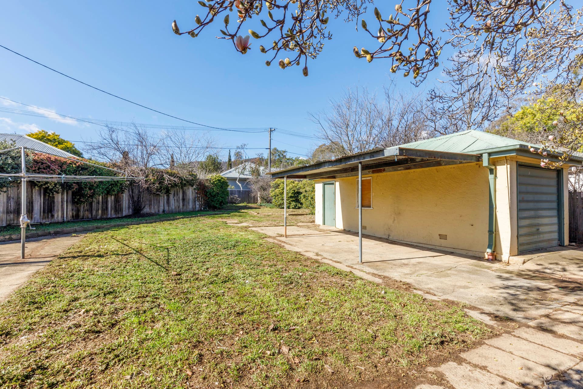 36 Cowper Street, Ainslie ACT 2602, Ainslie - Thumbnail 6
