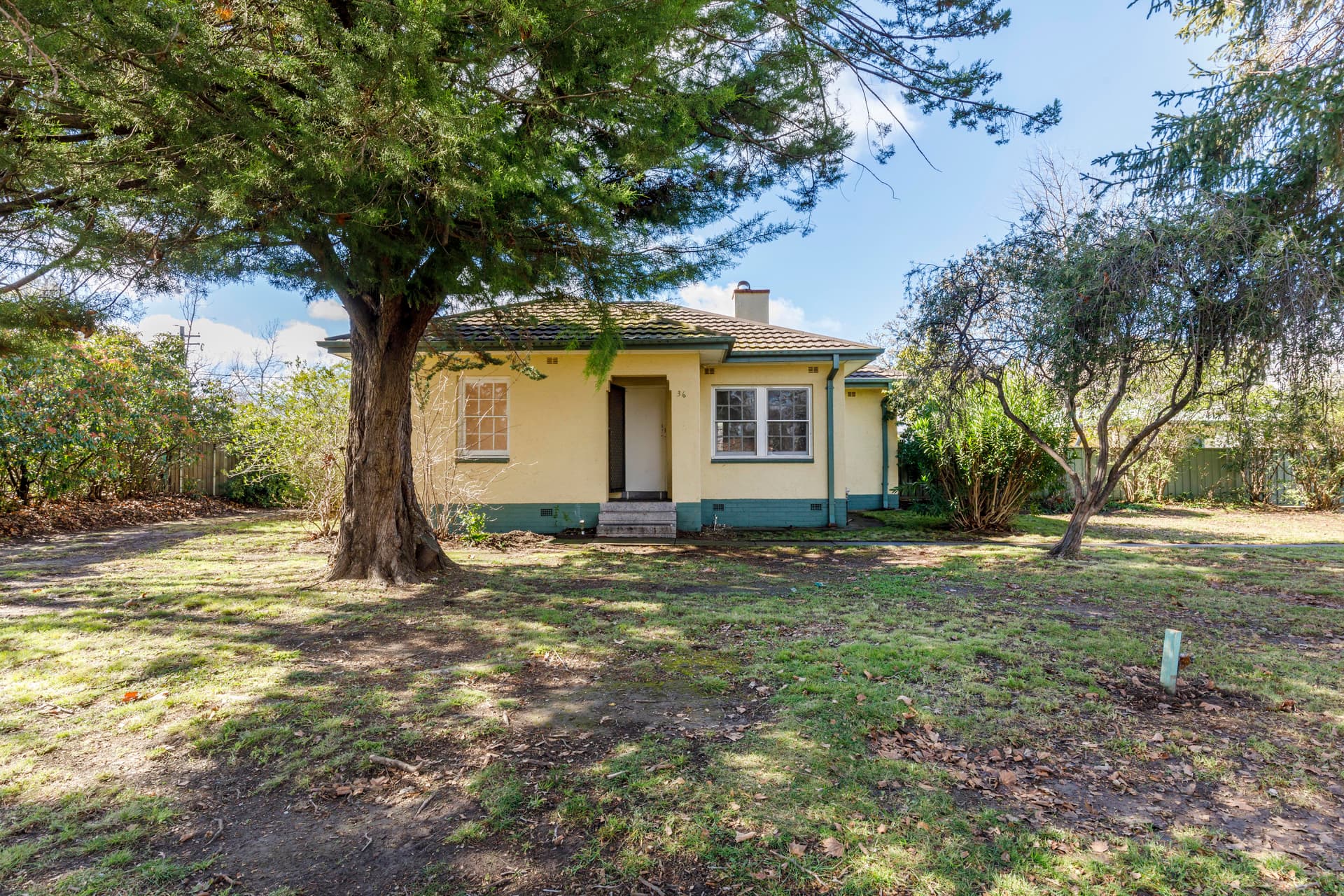 36 Cowper Street, Ainslie ACT 2602, Ainslie - Thumbnail 8