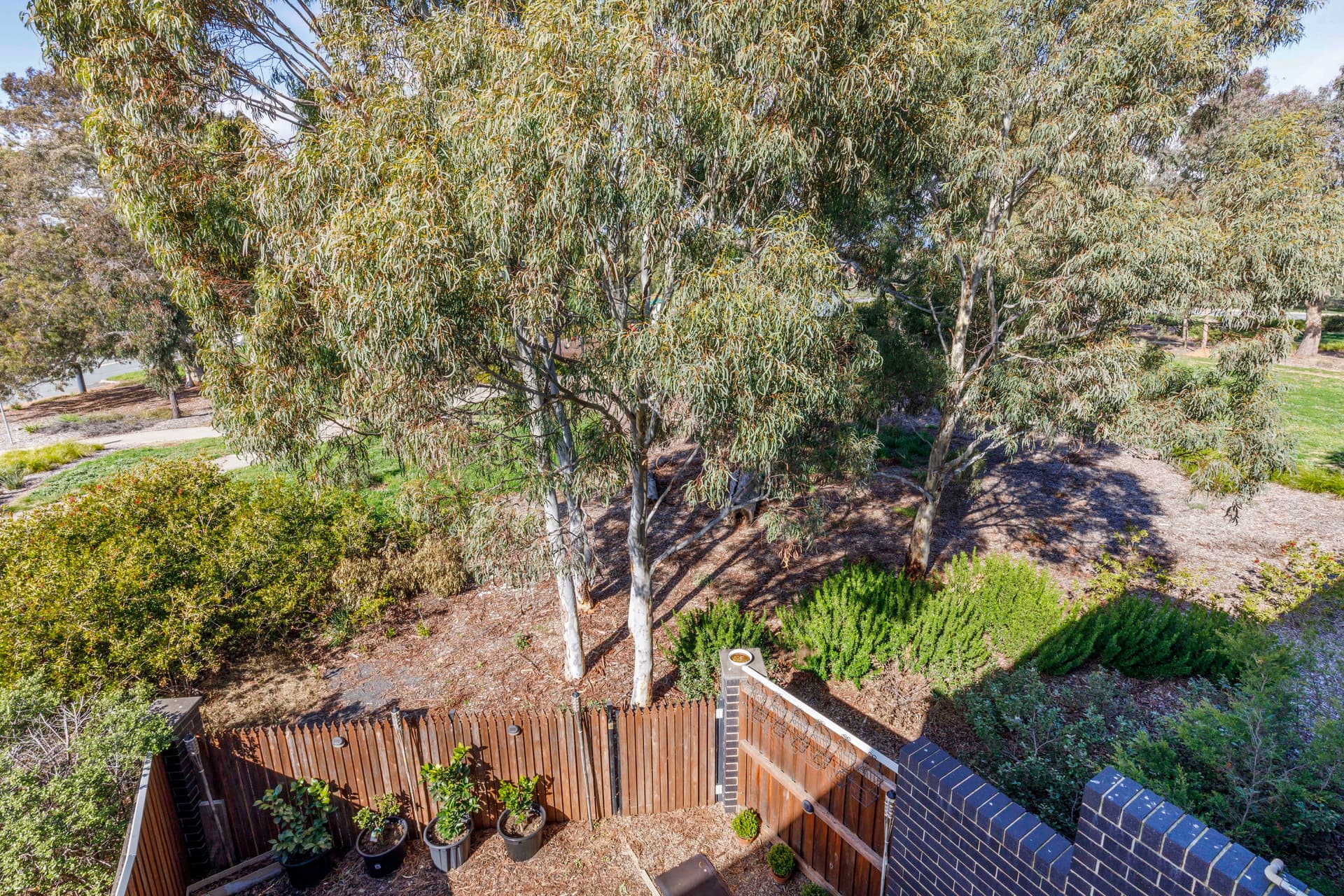 42 Plimsoll Drive, Casey ACT 2913, Casey - Thumbnail 6