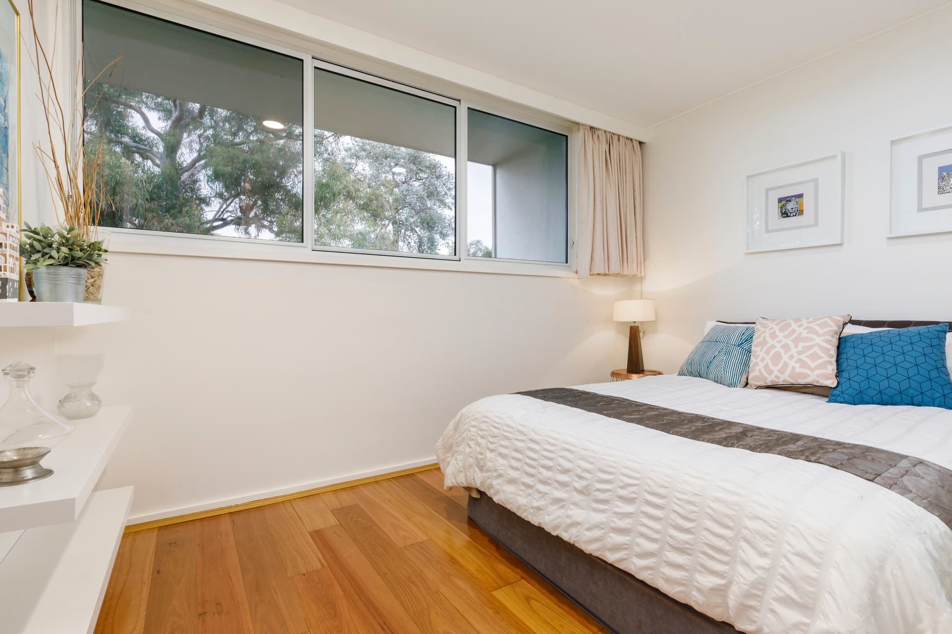 6 Plummer Street, Weetangera ACT 2614, Weetangera - Image 1