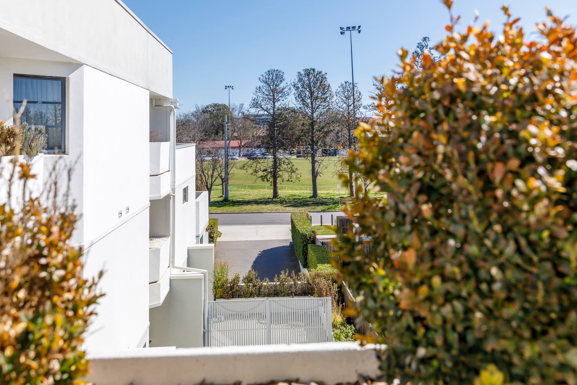 13/2 Cunningham Street, Griffith ACT 2603, Griffith - Thumbnail 3