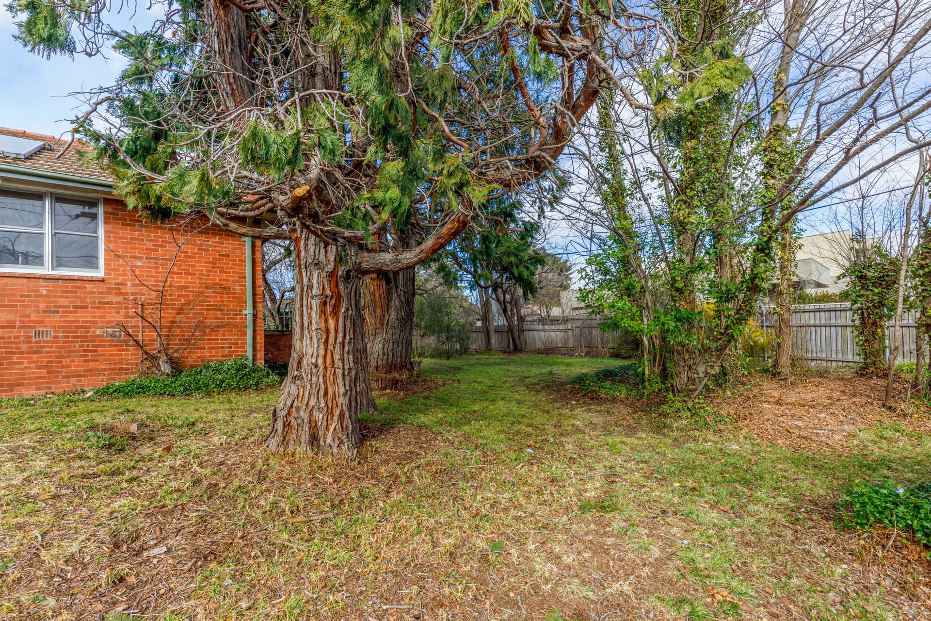 15 Broome Crescent, Yarralumla ACT 2600, Yarralumla - Thumbnail 3