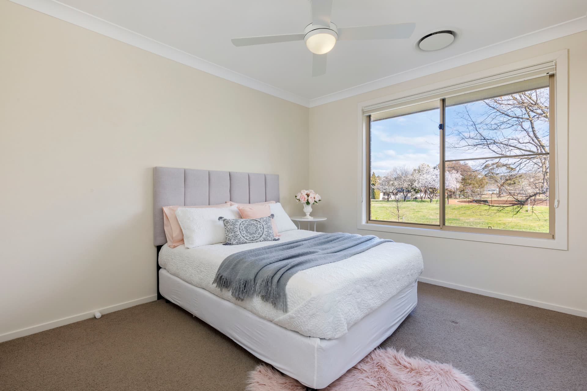 4 Santalum Street, Rivett ACT 2611, Rivett - Thumbnail 5