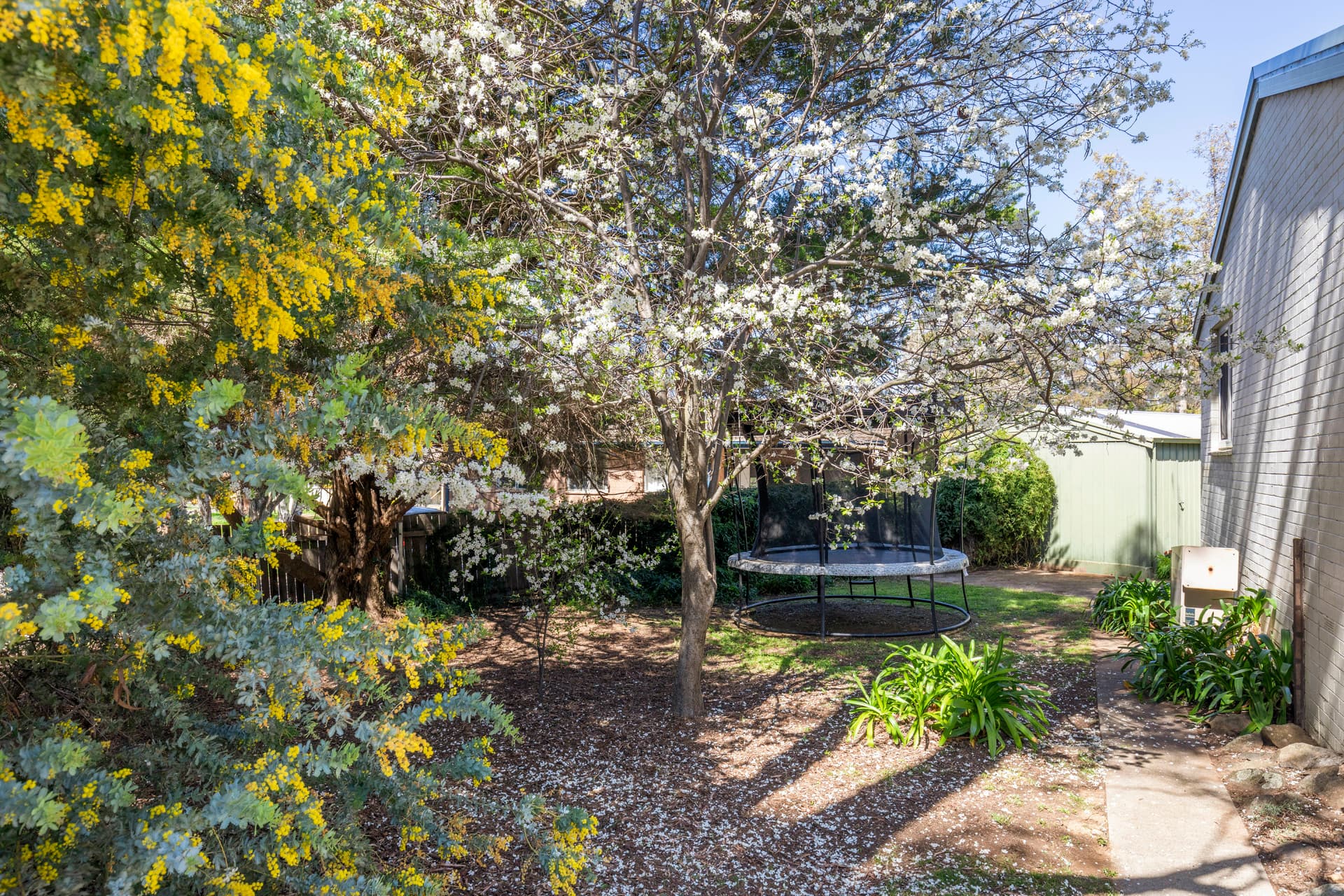 22 Kevin Street, Evatt ACT 2617, Evatt - Thumbnail 7
