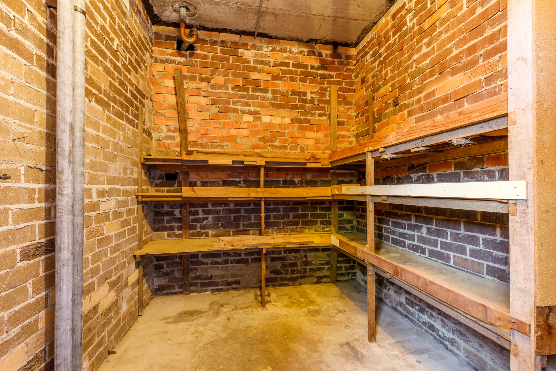 14 Cameron Street, Farrer ACT 2607, Farrer - Thumbnail 5