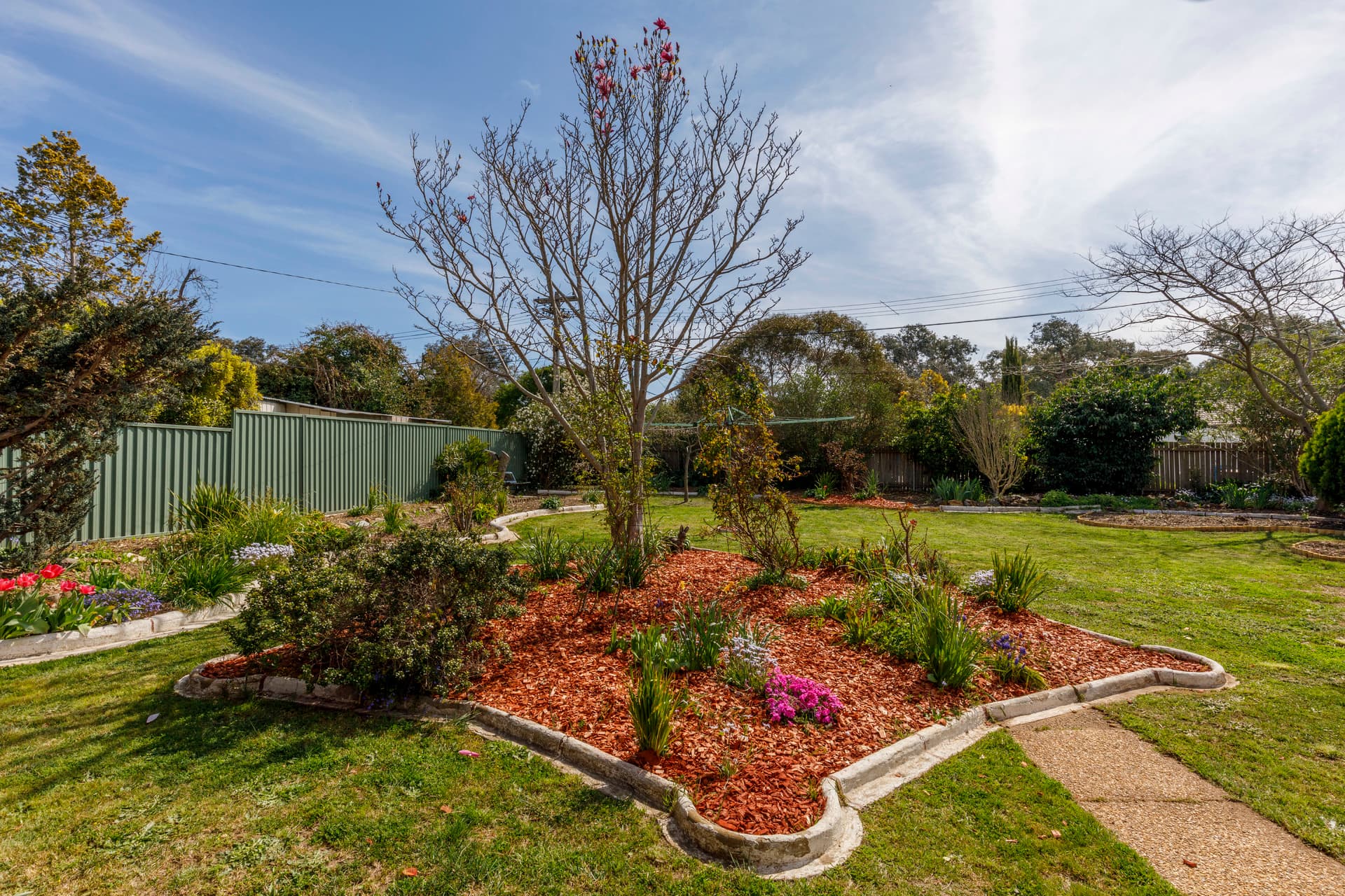 20 Burn Place, Downer ACT 2602, Downer - Thumbnail 6