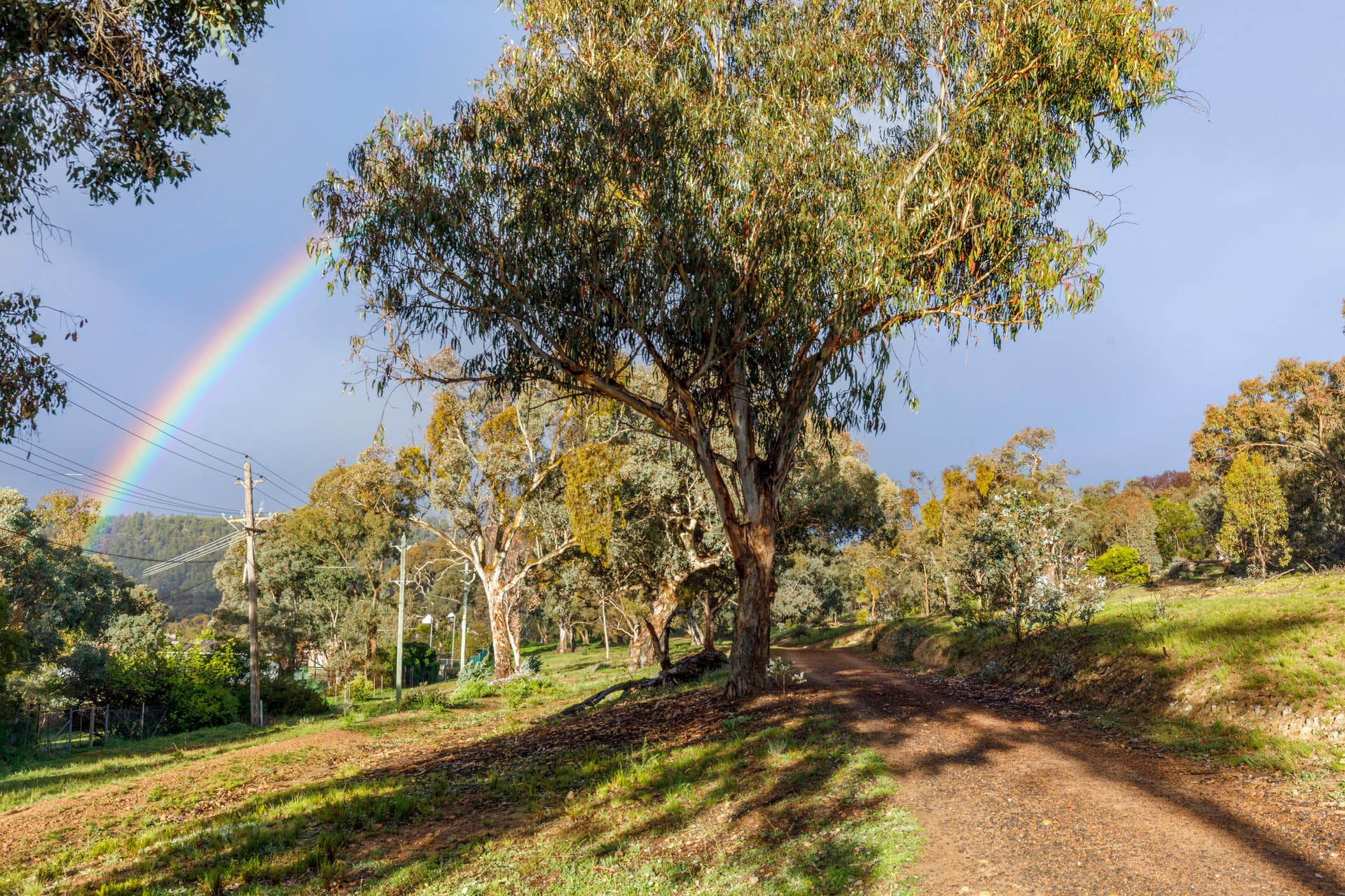 49 Muresk Street, Farrer ACT 2607, Farrer - Thumbnail 8