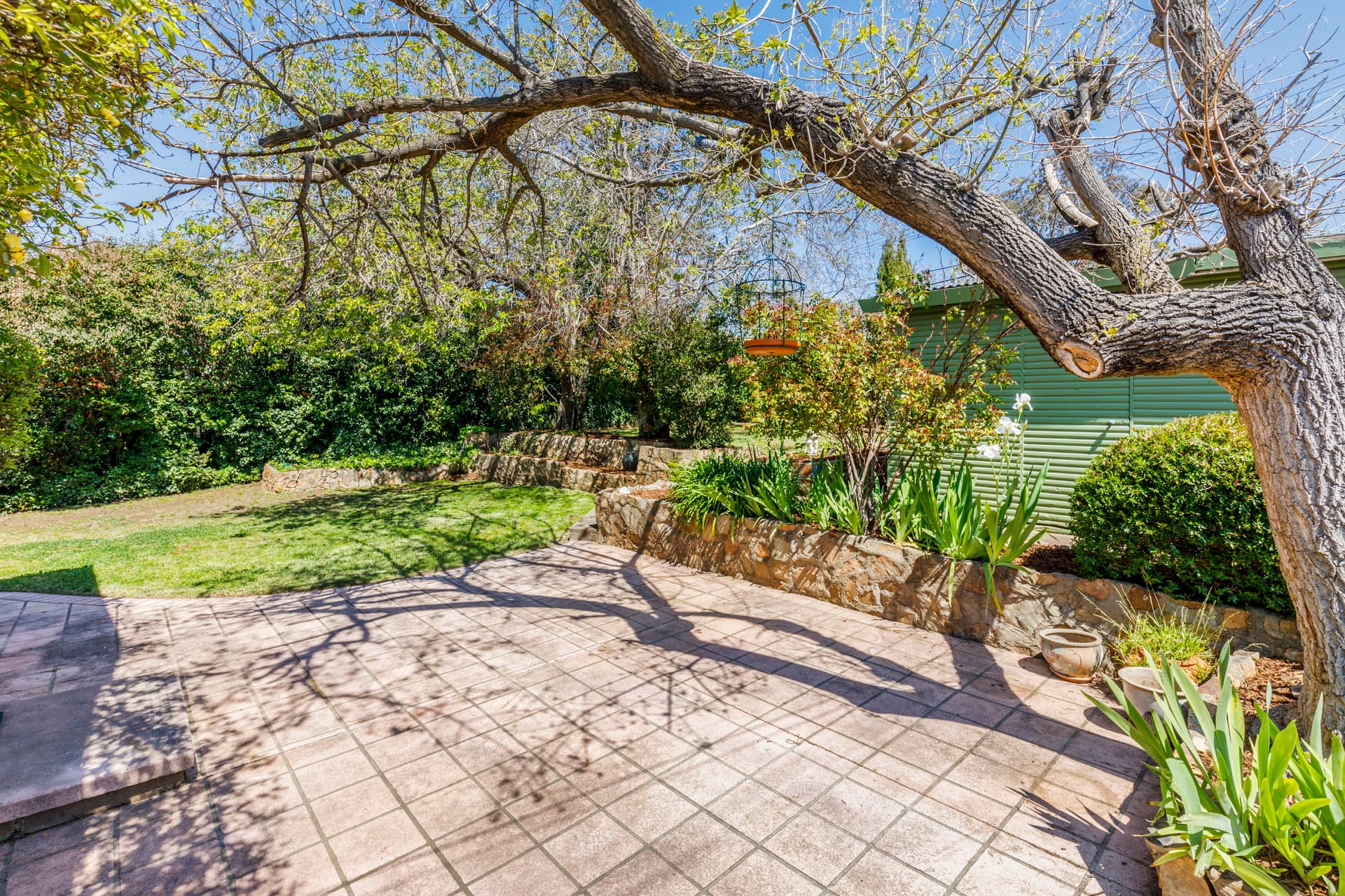 34 Dalrymple Street, Red Hill ACT 2603, Red Hill - Thumbnail 7