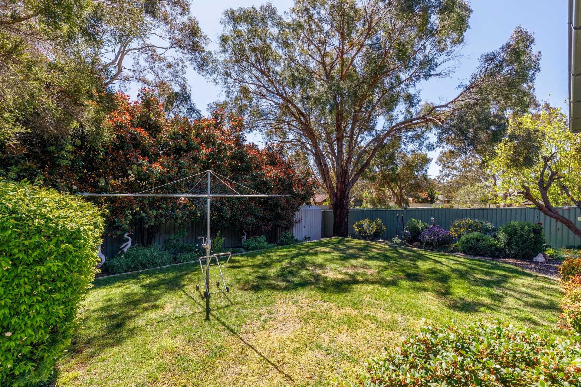 11 Kidman Close, Kambah ACT 2902, Kambah - Thumbnail 6