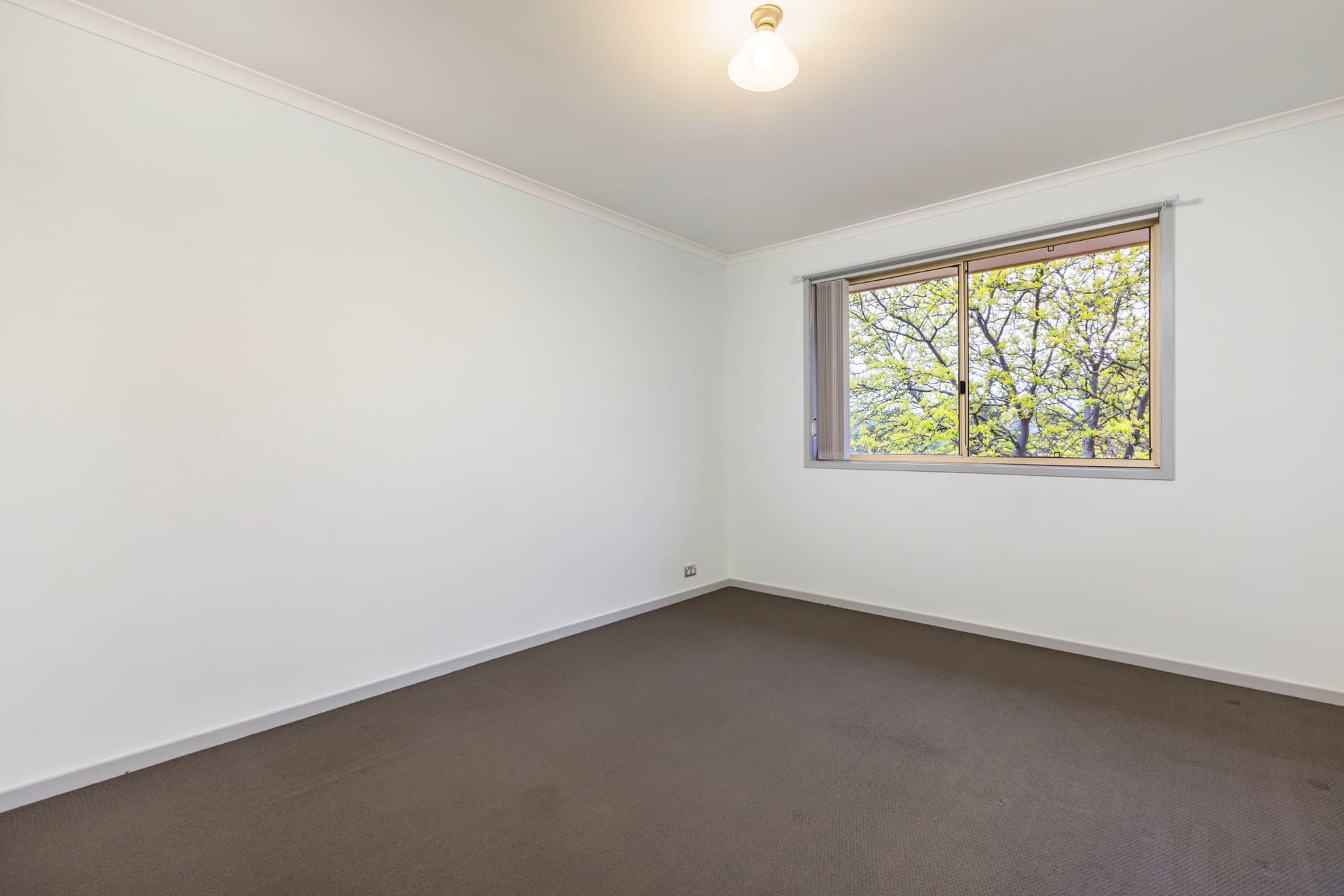 43/174 Clive Steele Avenue, Monash ACT 2904, Monash - Thumbnail 3
