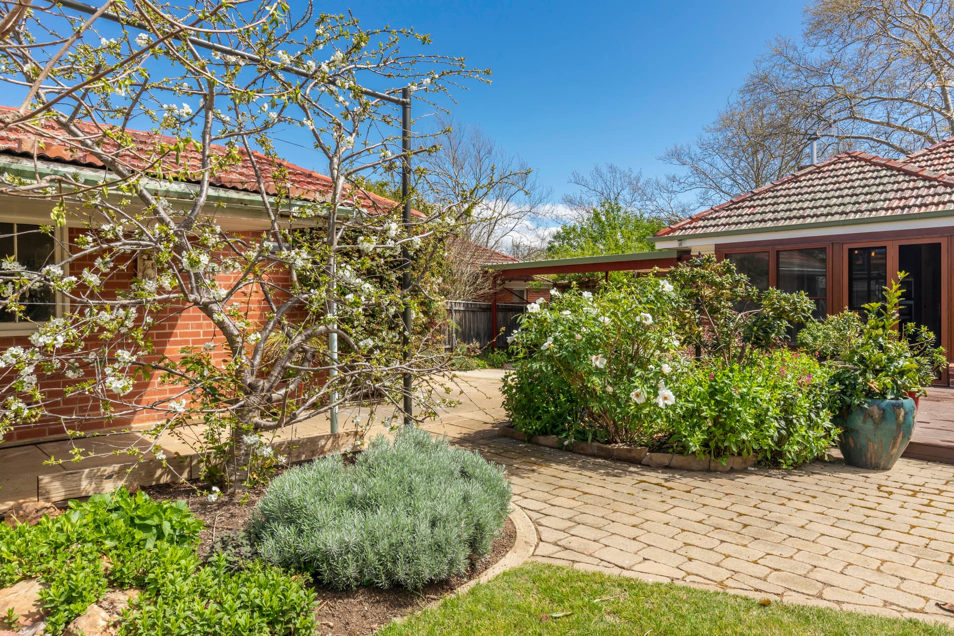 20 Dirrawan Gardens, Reid ACT 2612, Reid - Thumbnail 7