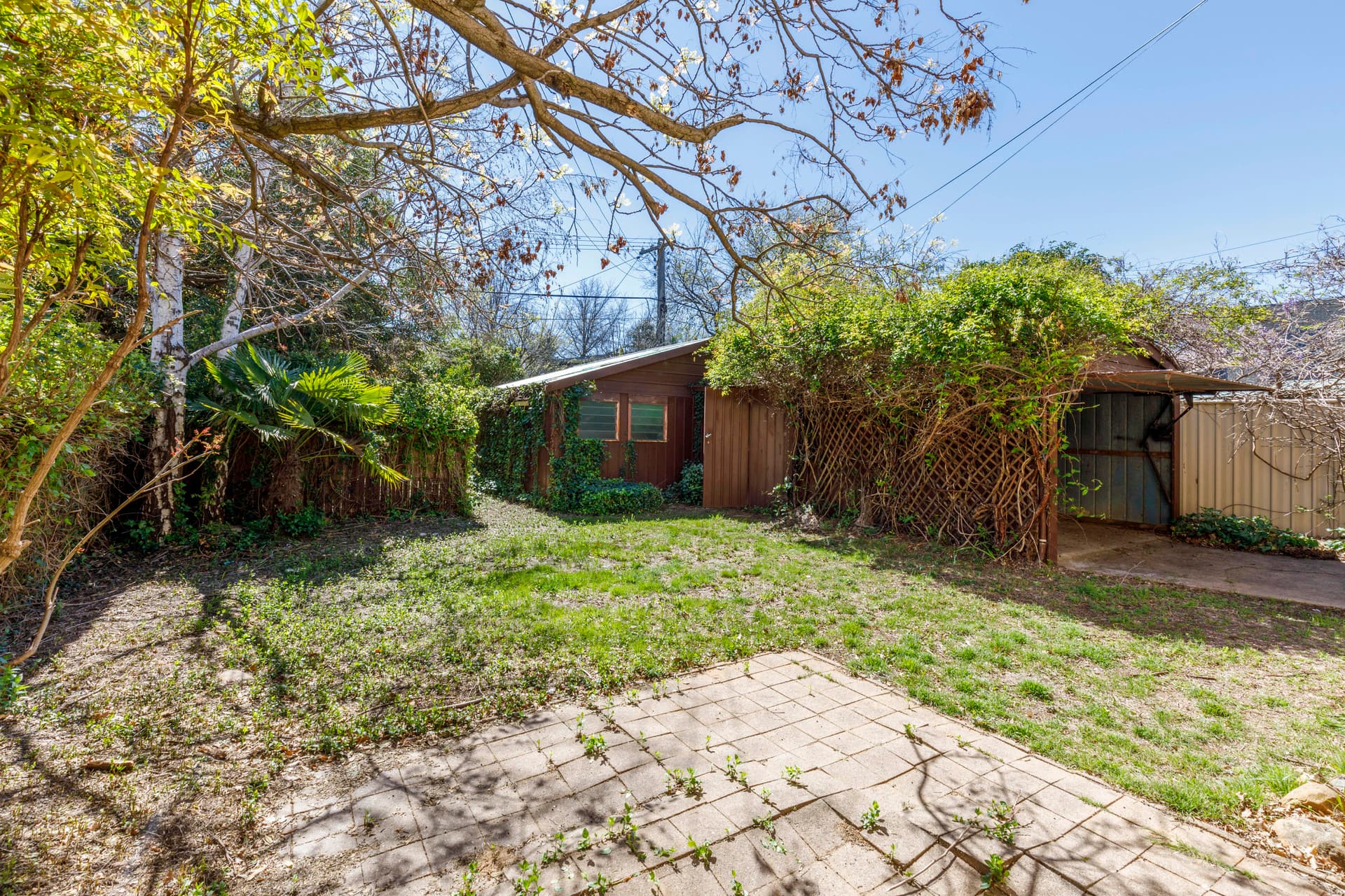 73 Antill Street, Downer ACT 2602, Downer - Thumbnail 4