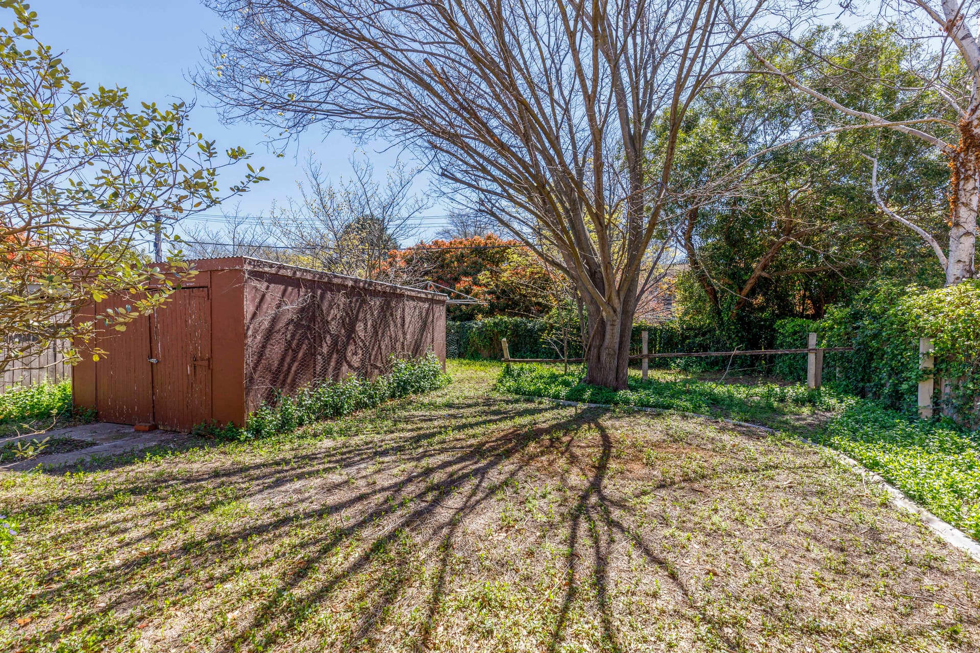 71 Antill Street, Downer ACT 2602, Downer - Thumbnail 5
