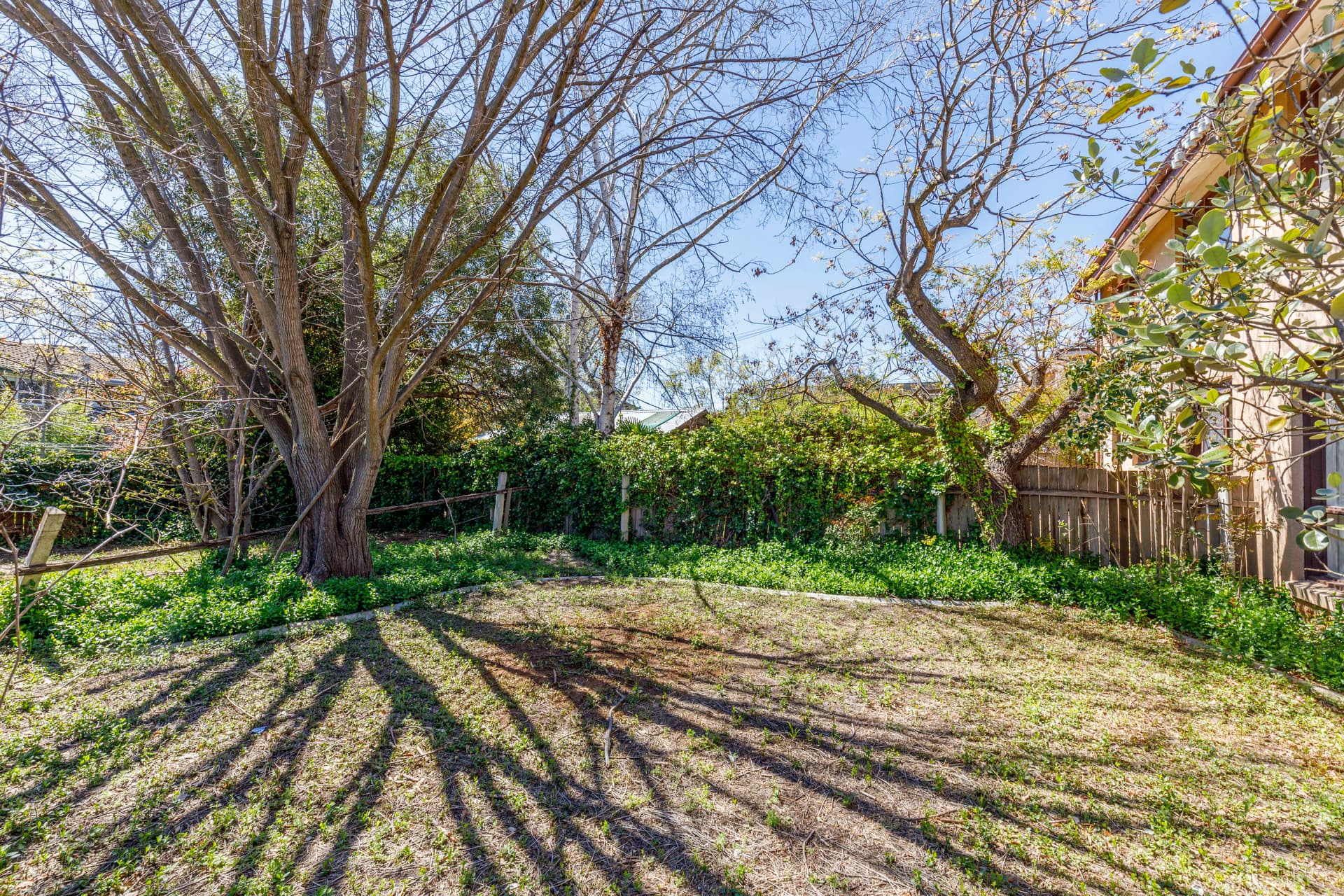 71 Antill Street, Downer ACT 2602, Downer - Thumbnail 6