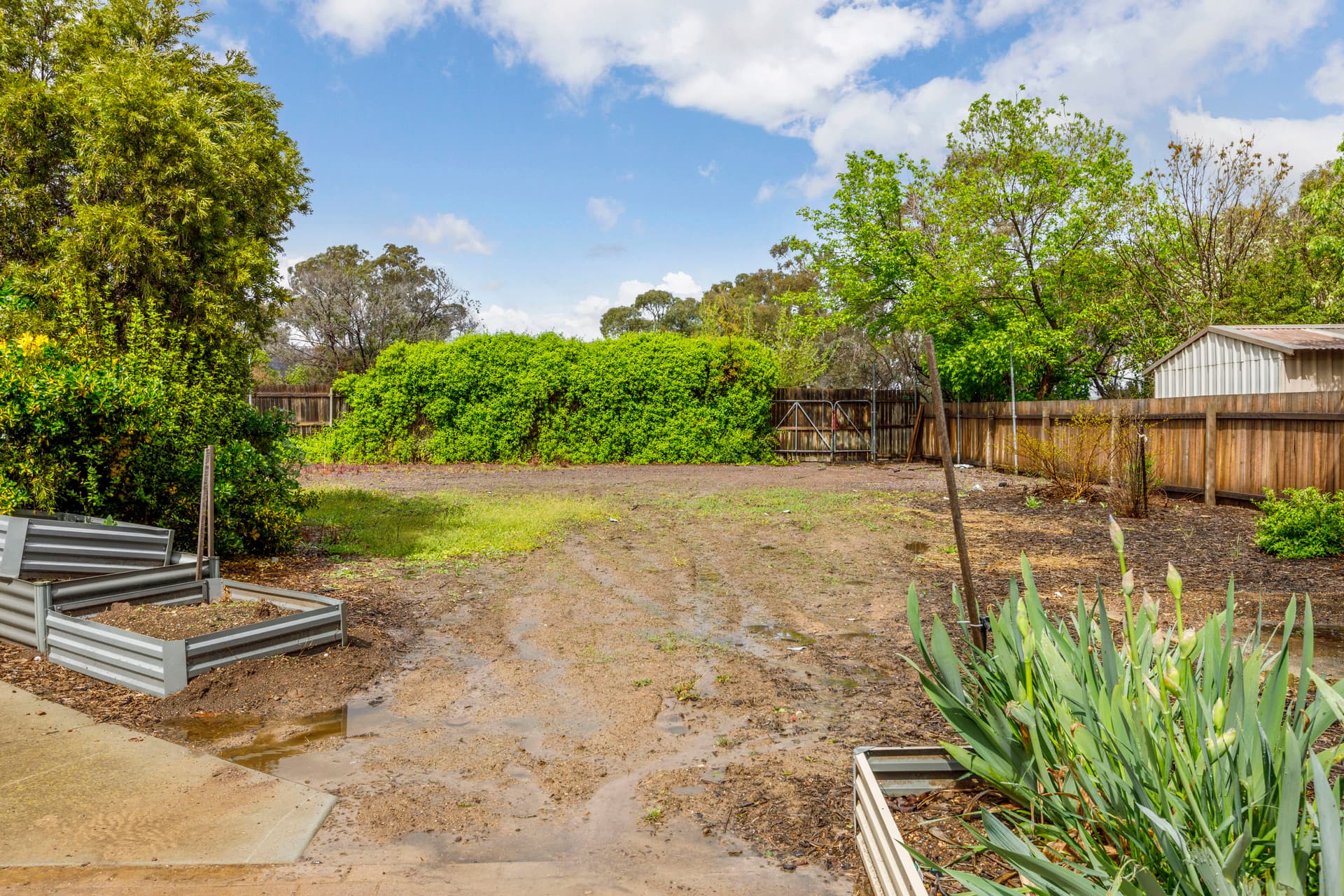 31 McLorinan Street, Chisholm ACT 2905, Chisholm - Thumbnail 7