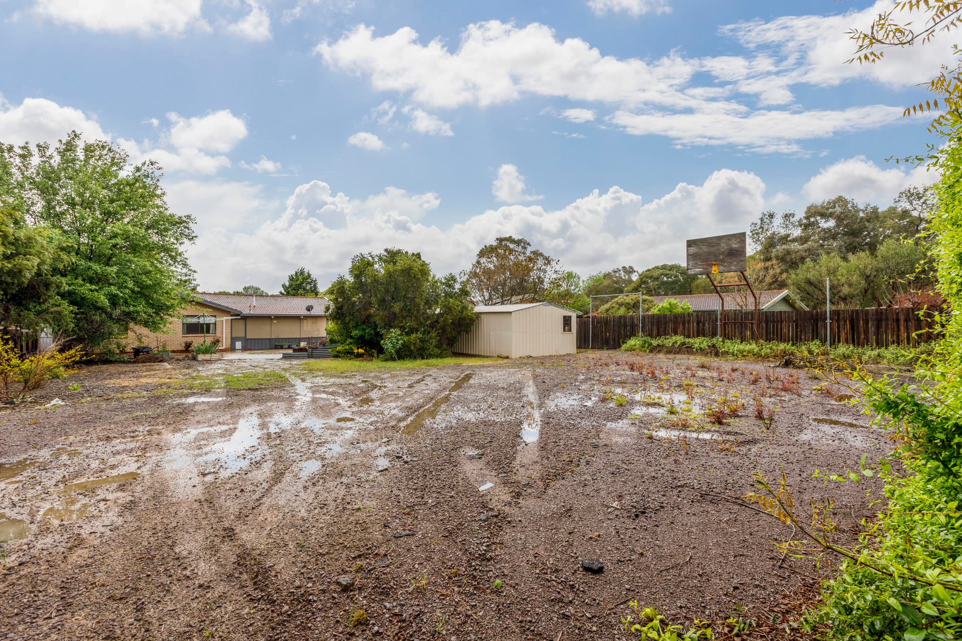 31 McLorinan Street, Chisholm ACT 2905, Chisholm - Thumbnail 8