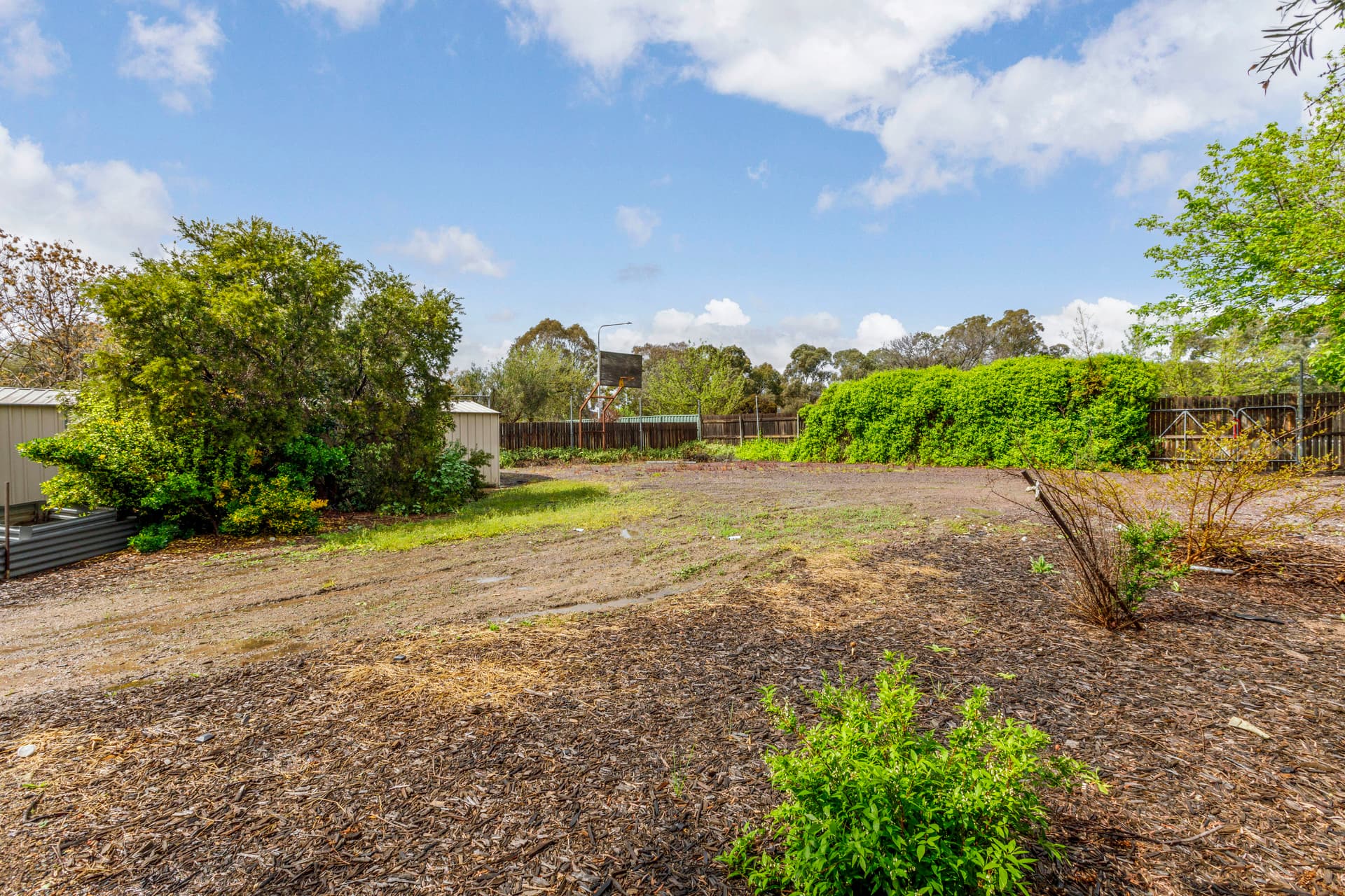 31 McLorinan Street, Chisholm ACT 2905, Chisholm - Thumbnail 6