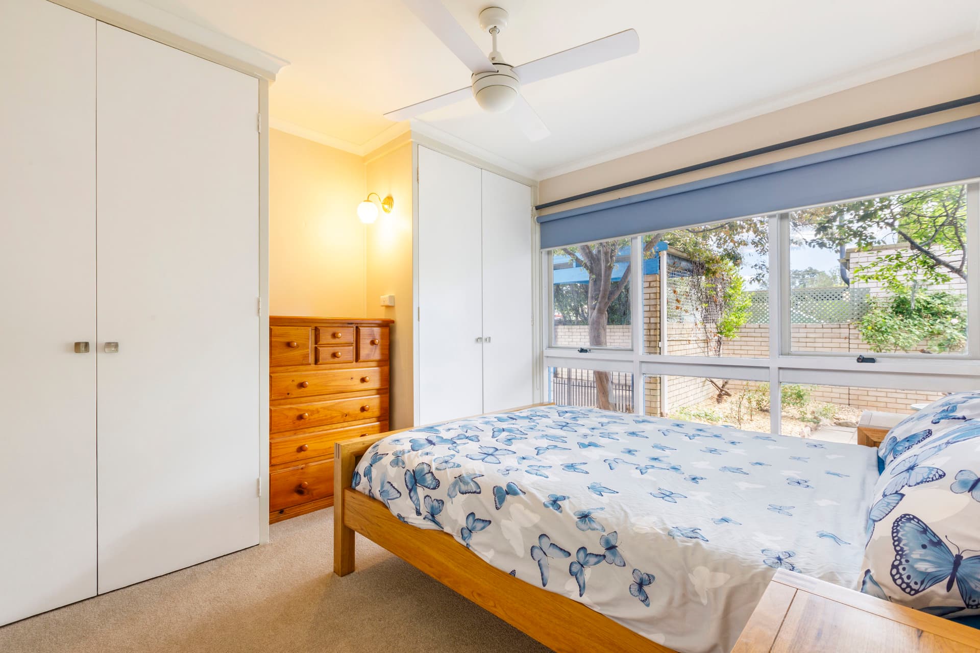 8 Dallachy Place, Page ACT 2614, Page - Image 1