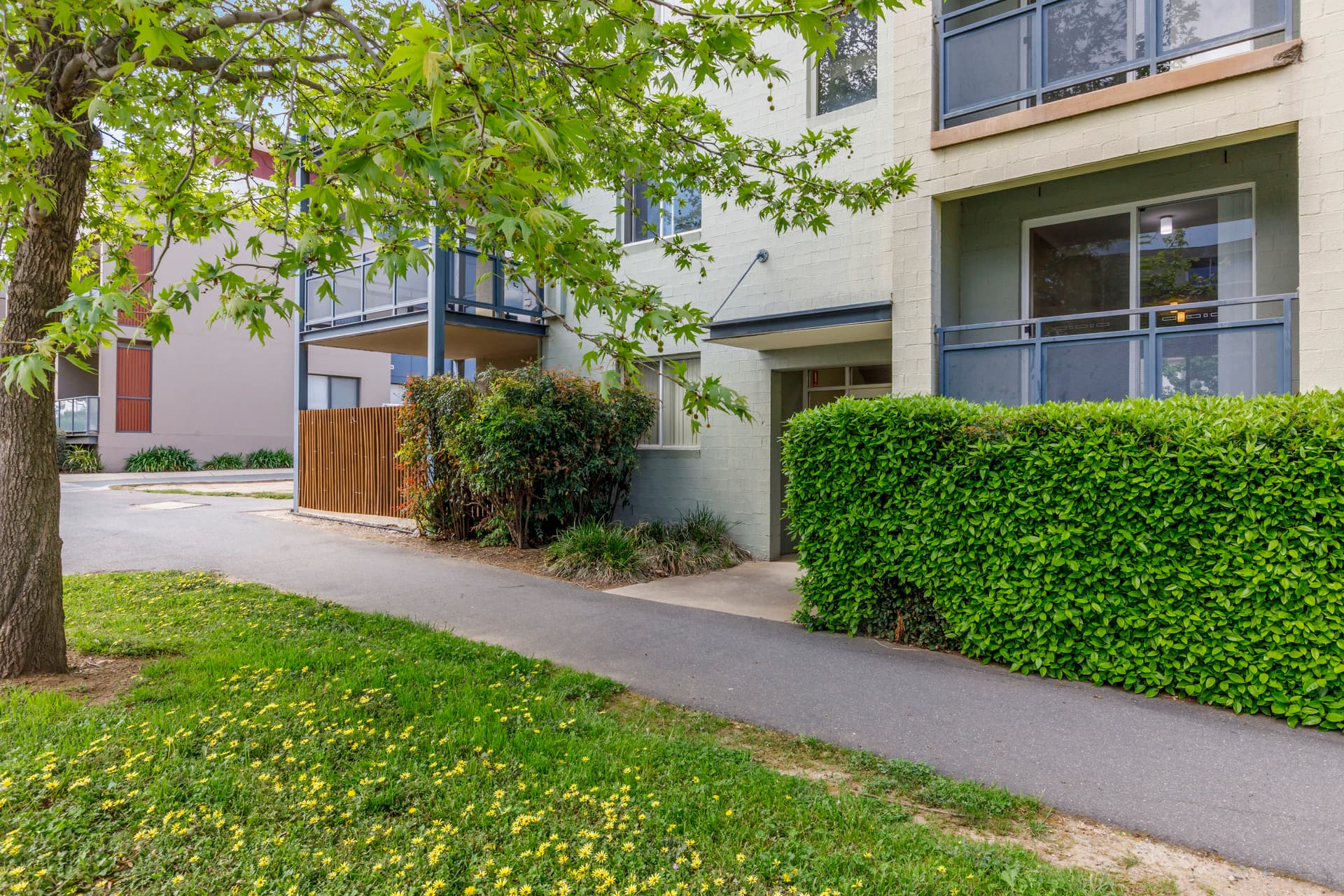 7/80 Gozzard Street, Gungahlin ACT 2912, Gungahlin - Thumbnail 5
