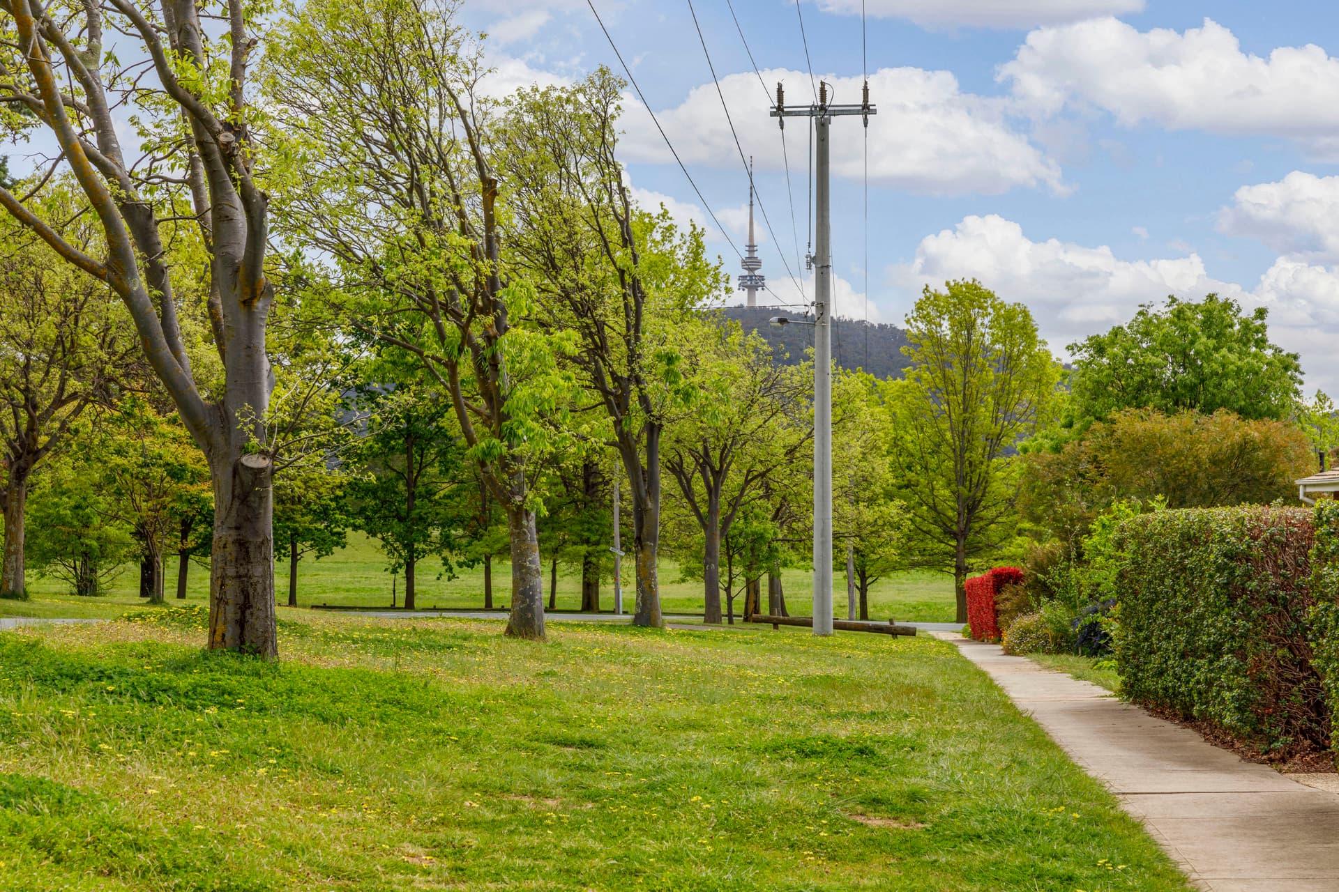 66A Mueller Street, Yarralumla ACT 2600, Yarralumla - Thumbnail 7