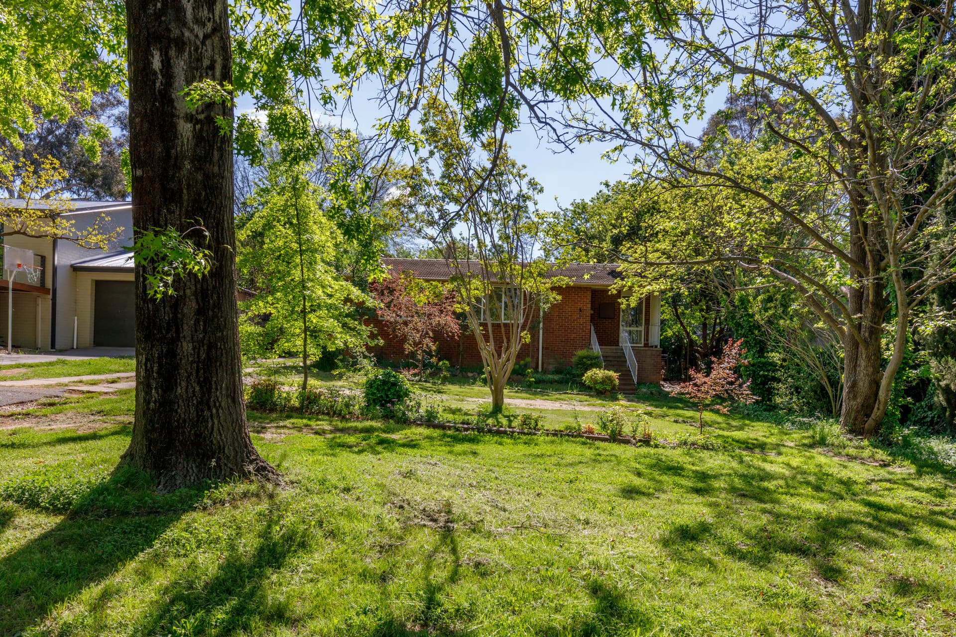 19 Sprent Street, Narrabundah ACT 2604, Narrabundah - Thumbnail 6