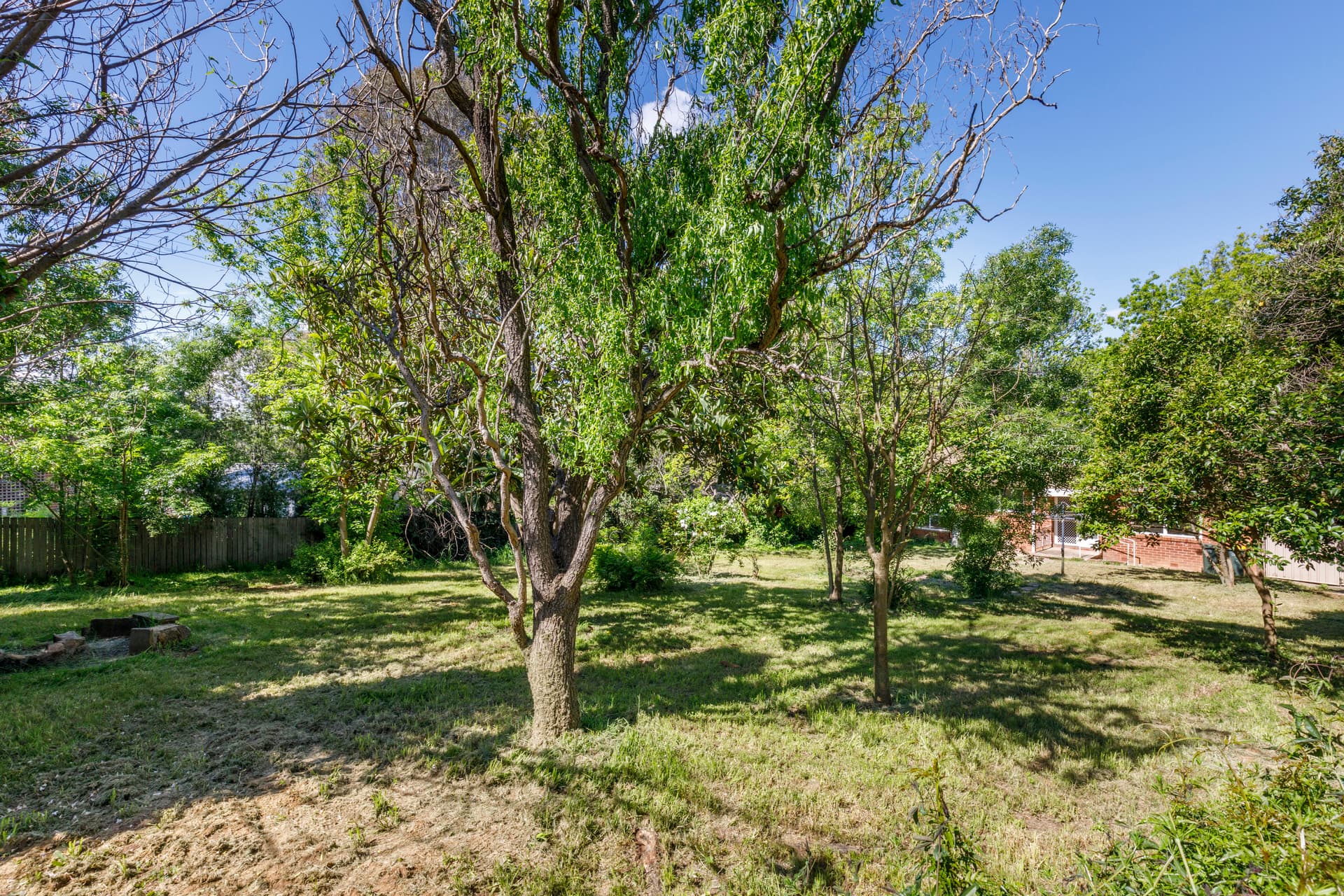 19 Sprent Street, Narrabundah ACT 2604, Narrabundah - Thumbnail 2