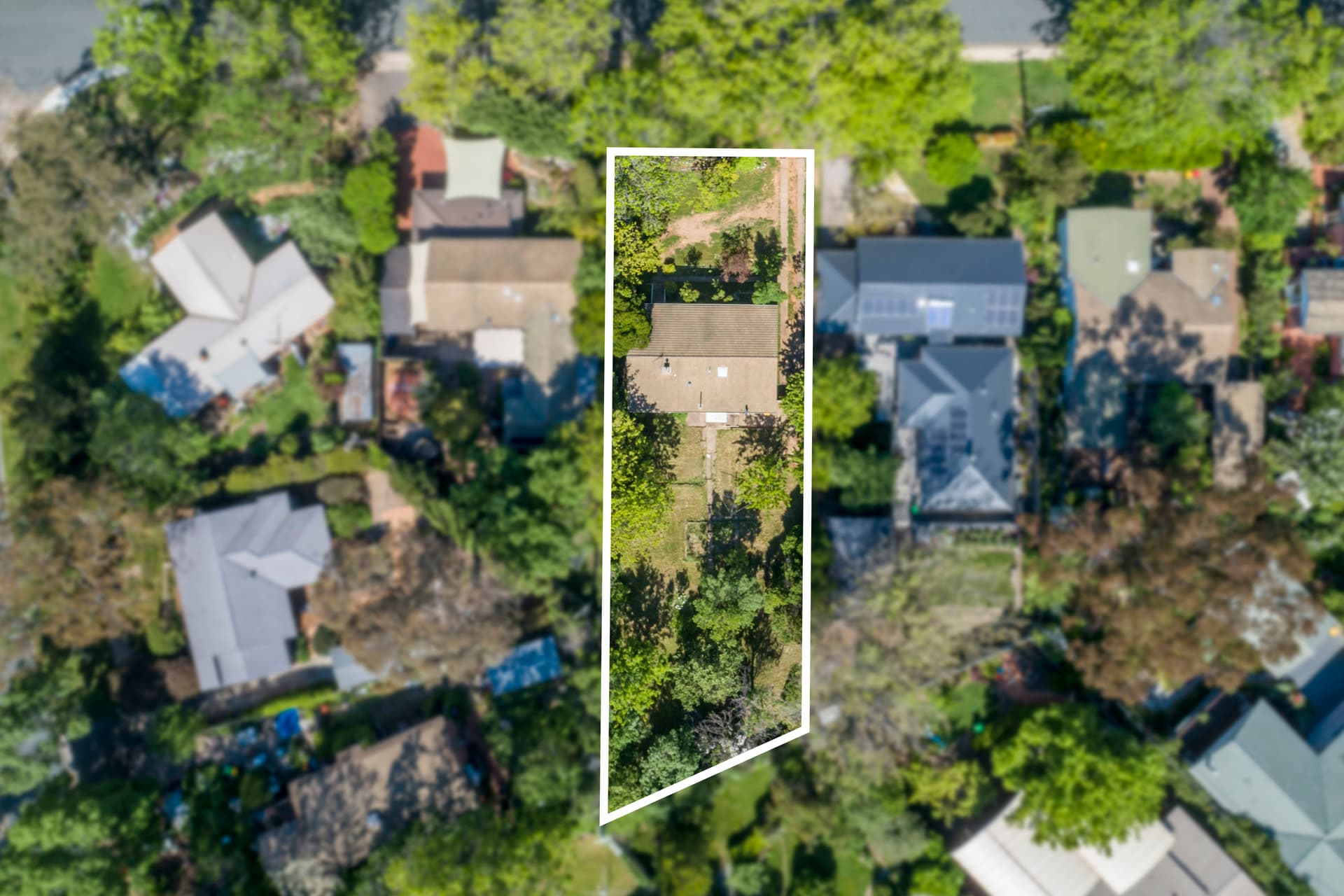 19 Sprent Street, Narrabundah ACT 2604, Narrabundah - Thumbnail 8