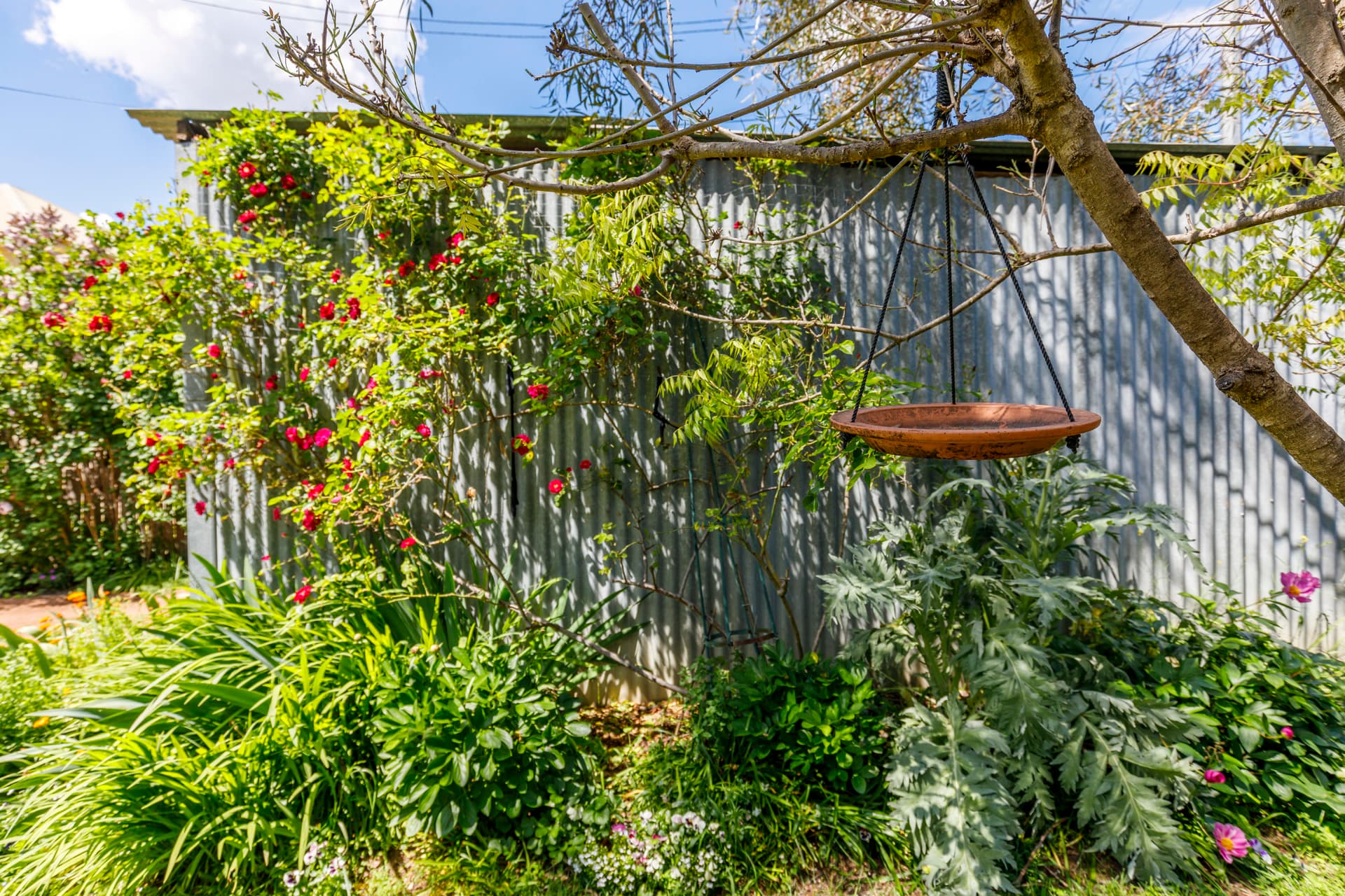7 Hamilton Row, Yarralumla ACT 2600, Yarralumla - Thumbnail 8