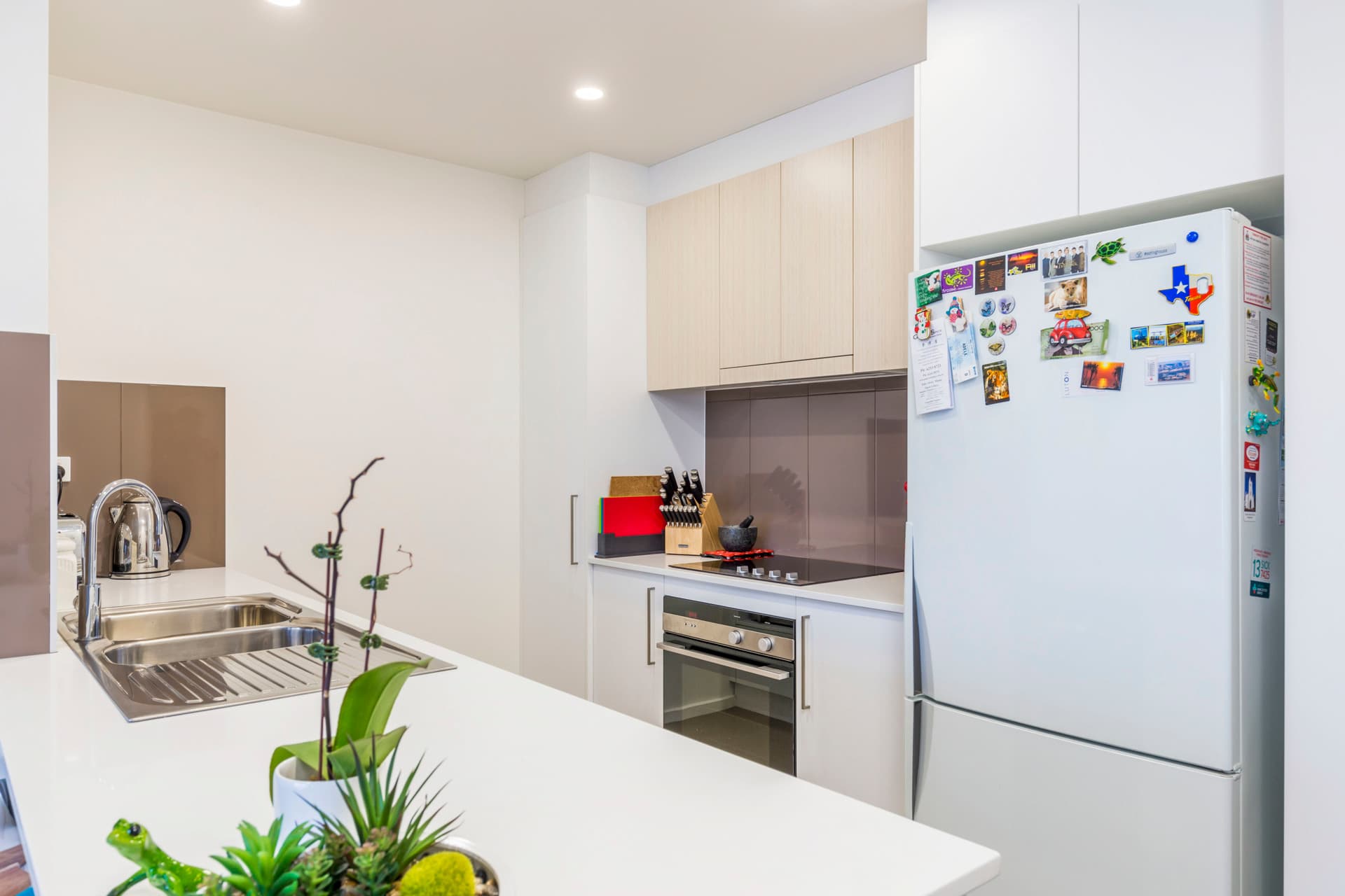 37/2 Sapling Street, Harrison ACT 2914, Harrison - Thumbnail 7
