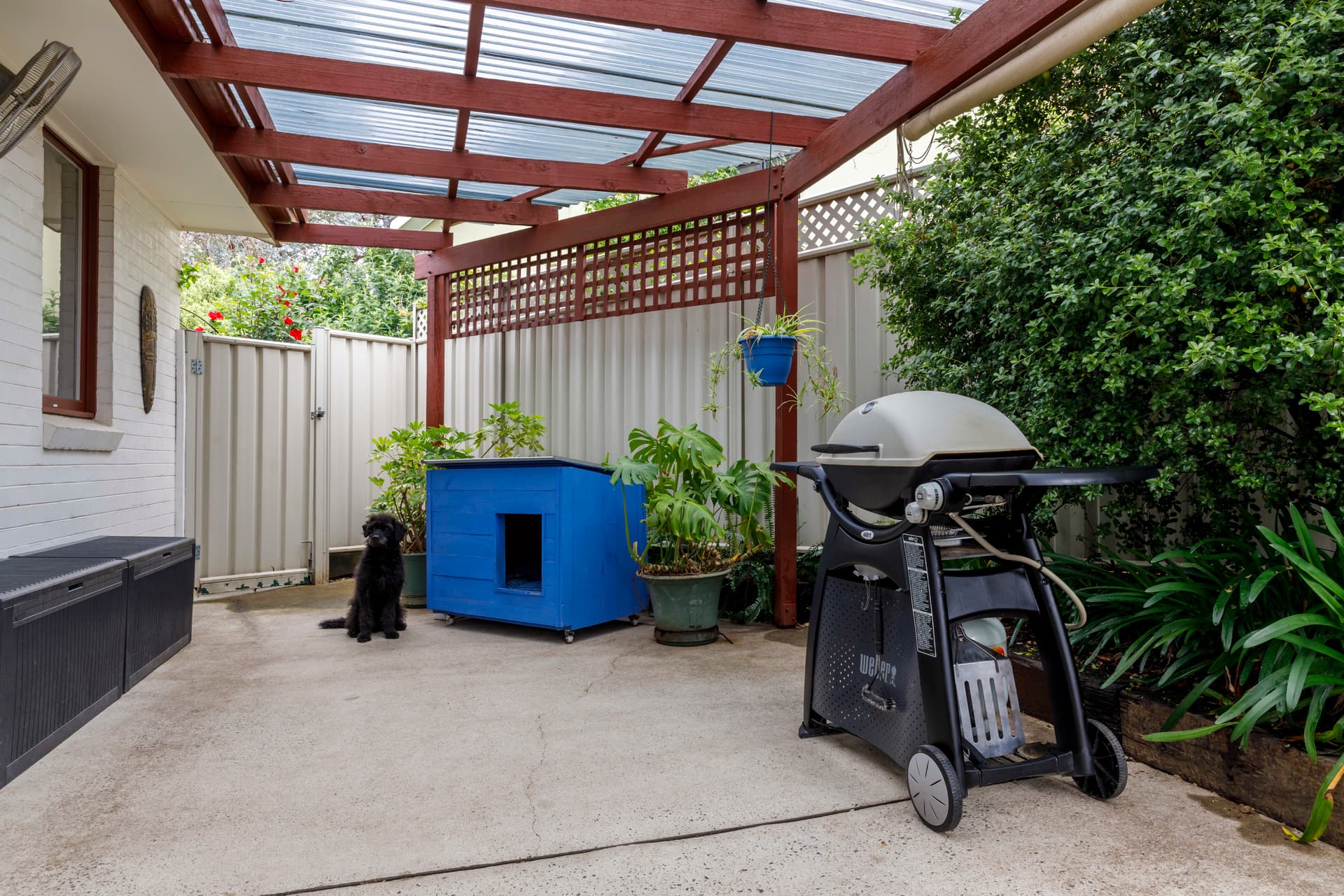 44 Bendigo Street, Fisher ACT 2611, Fisher - Thumbnail 6