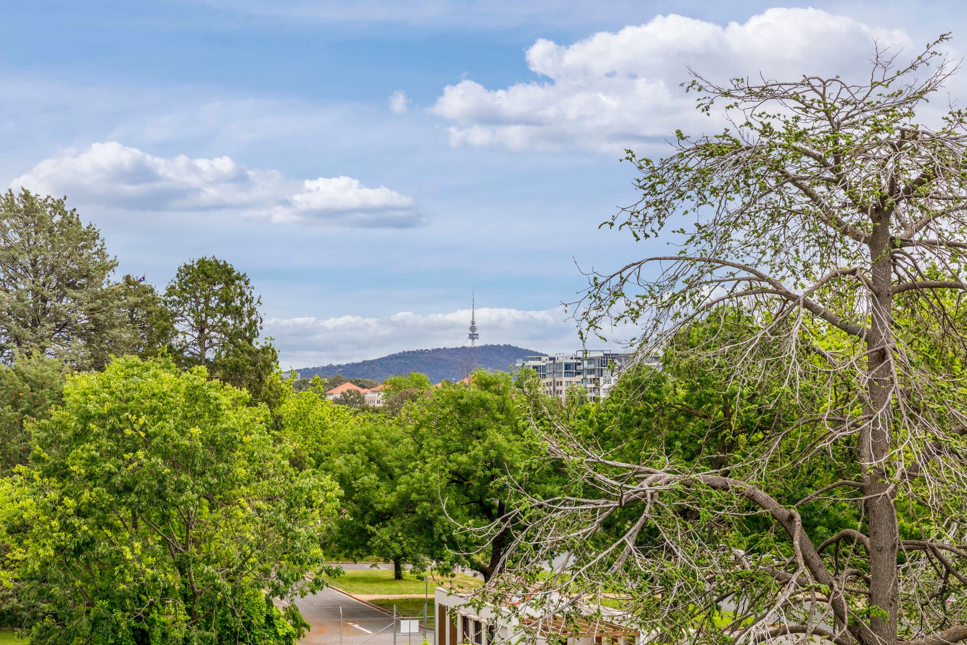E5/2 Currie Crescent, Griffith ACT 2603, Griffith - Thumbnail 8