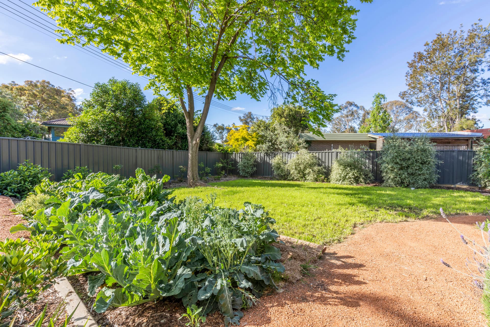 44 Mackellar Crescent, Cook ACT 2614, Cook - Thumbnail 7